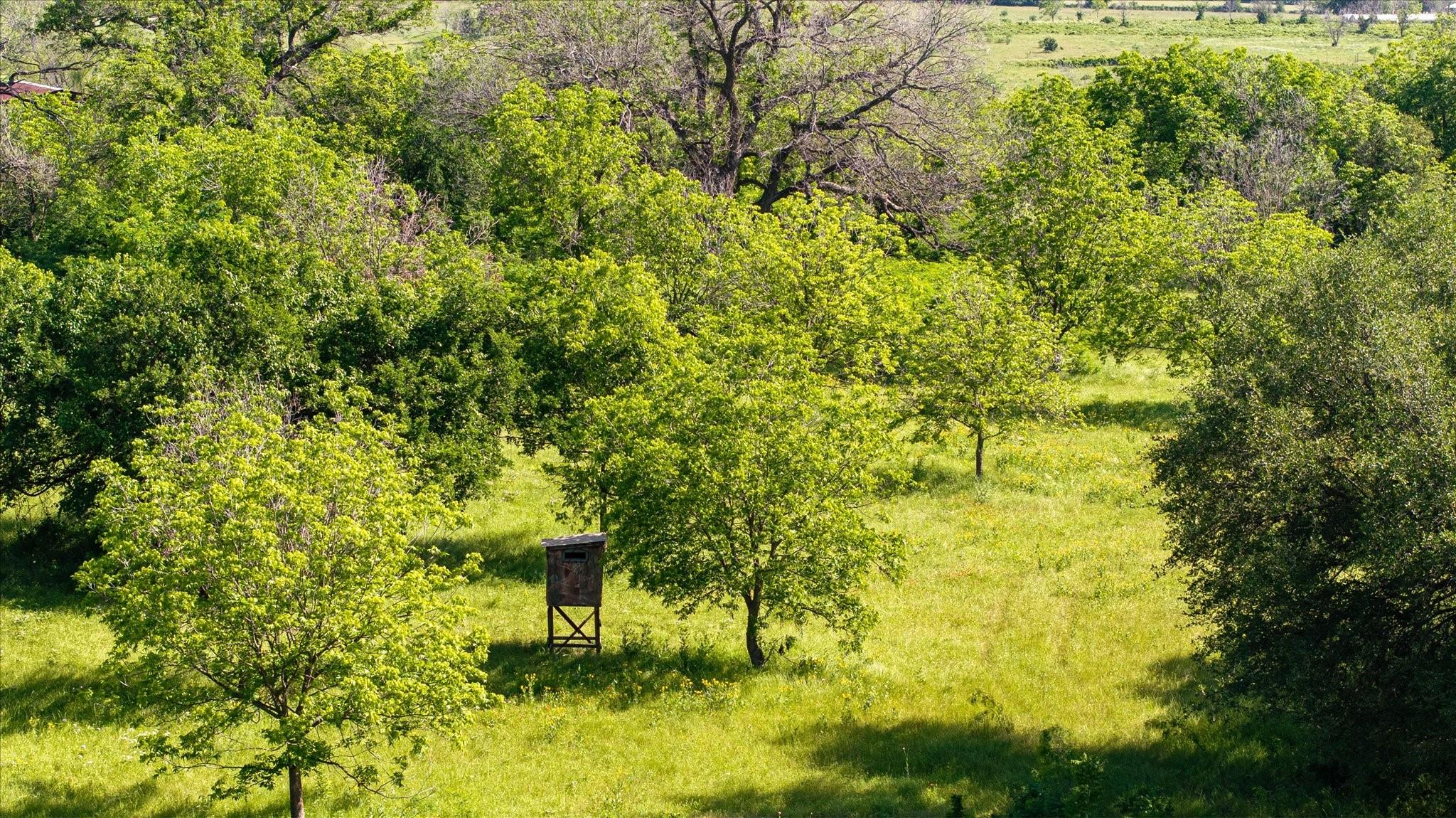 main property photo 18