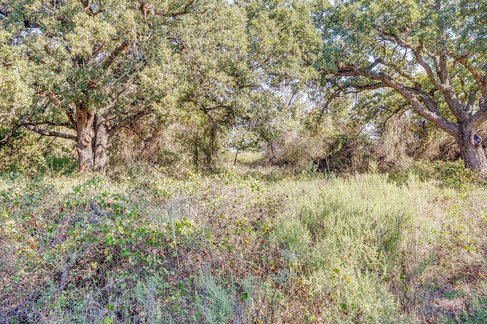 main property photo 37