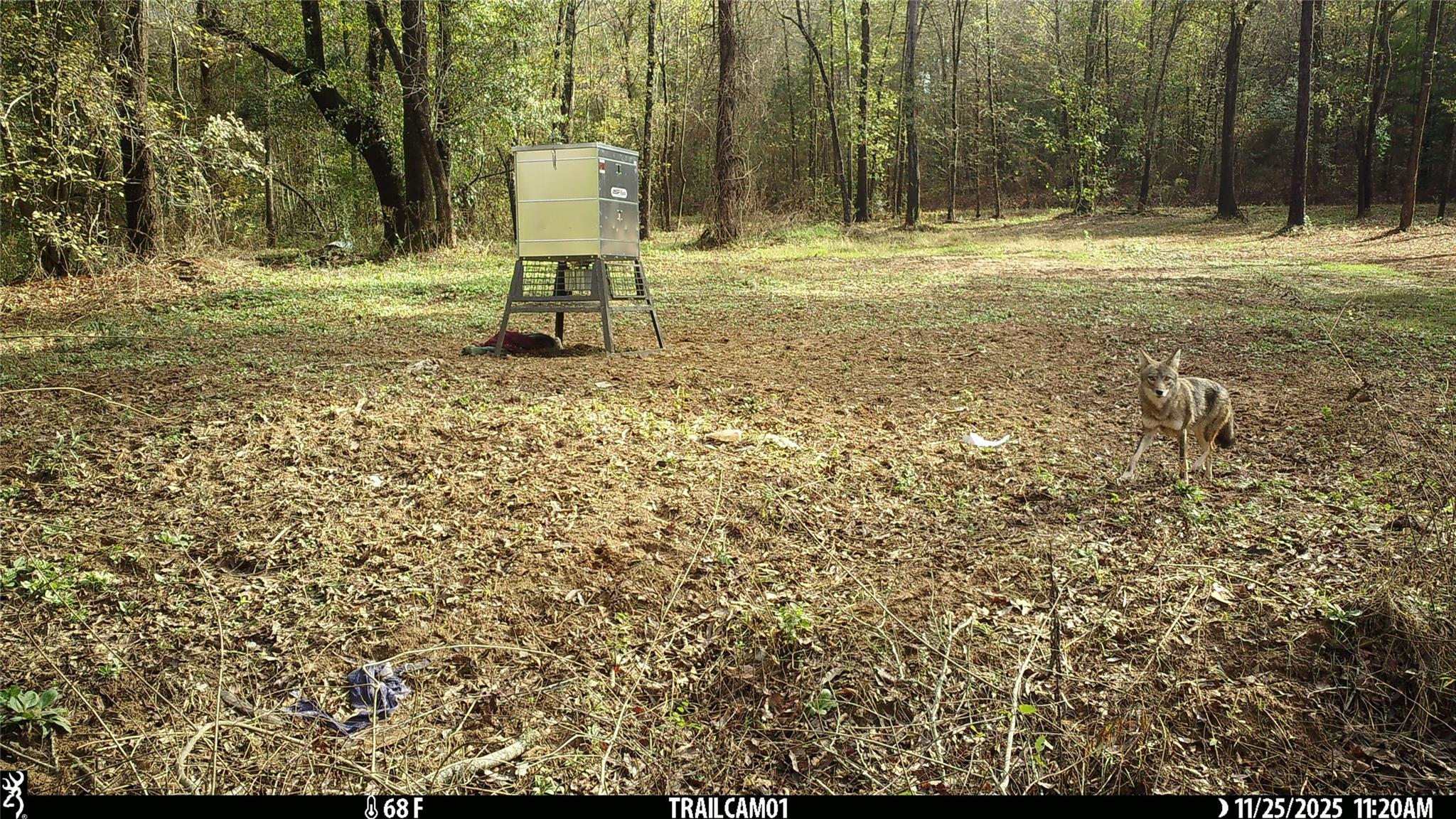 main property photo 29