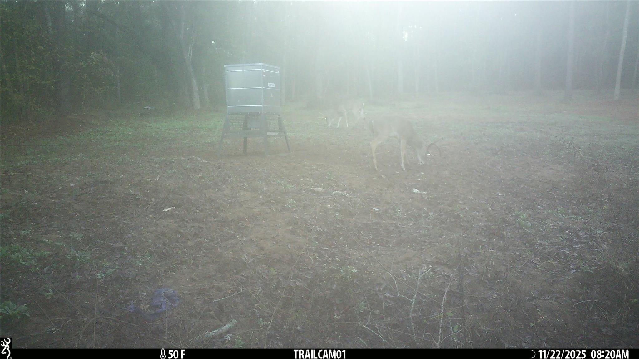 main property photo 36