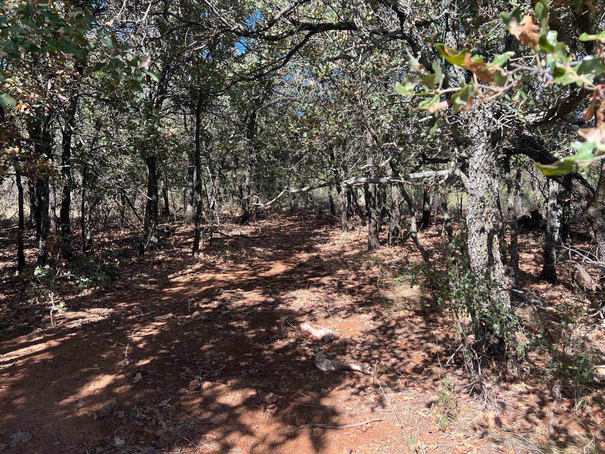 main property photo 19