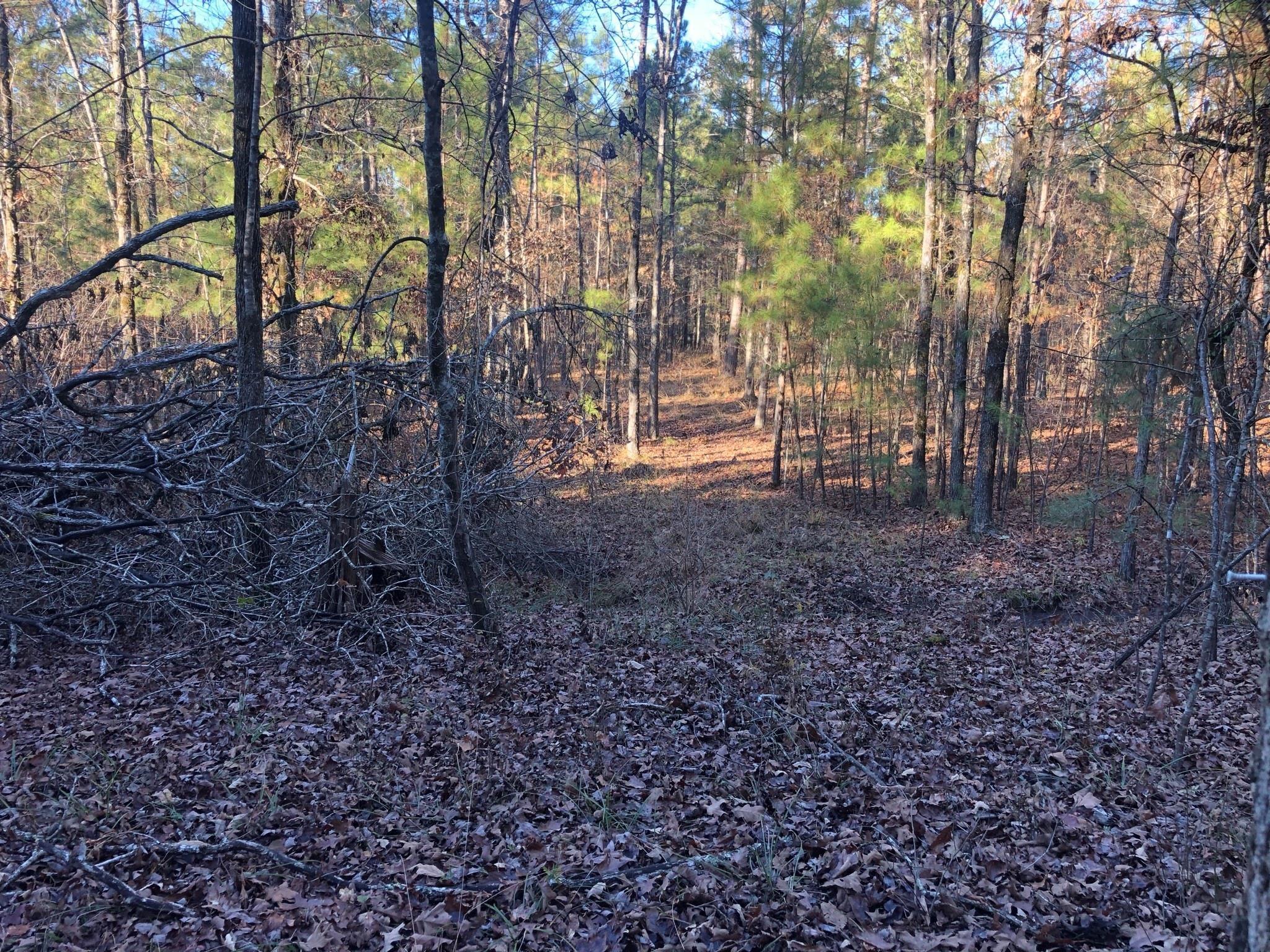 main property photo 25