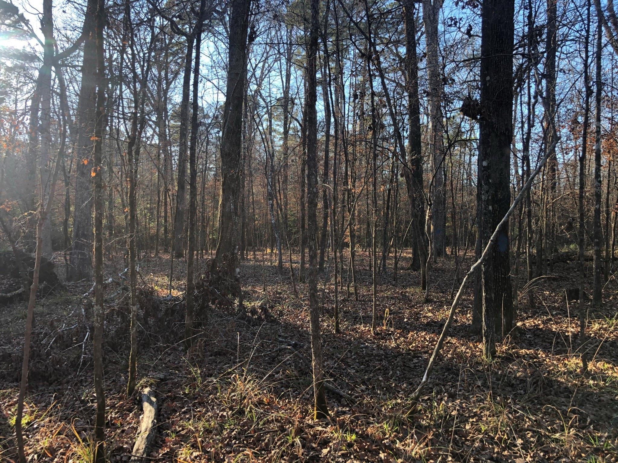 main property photo 31