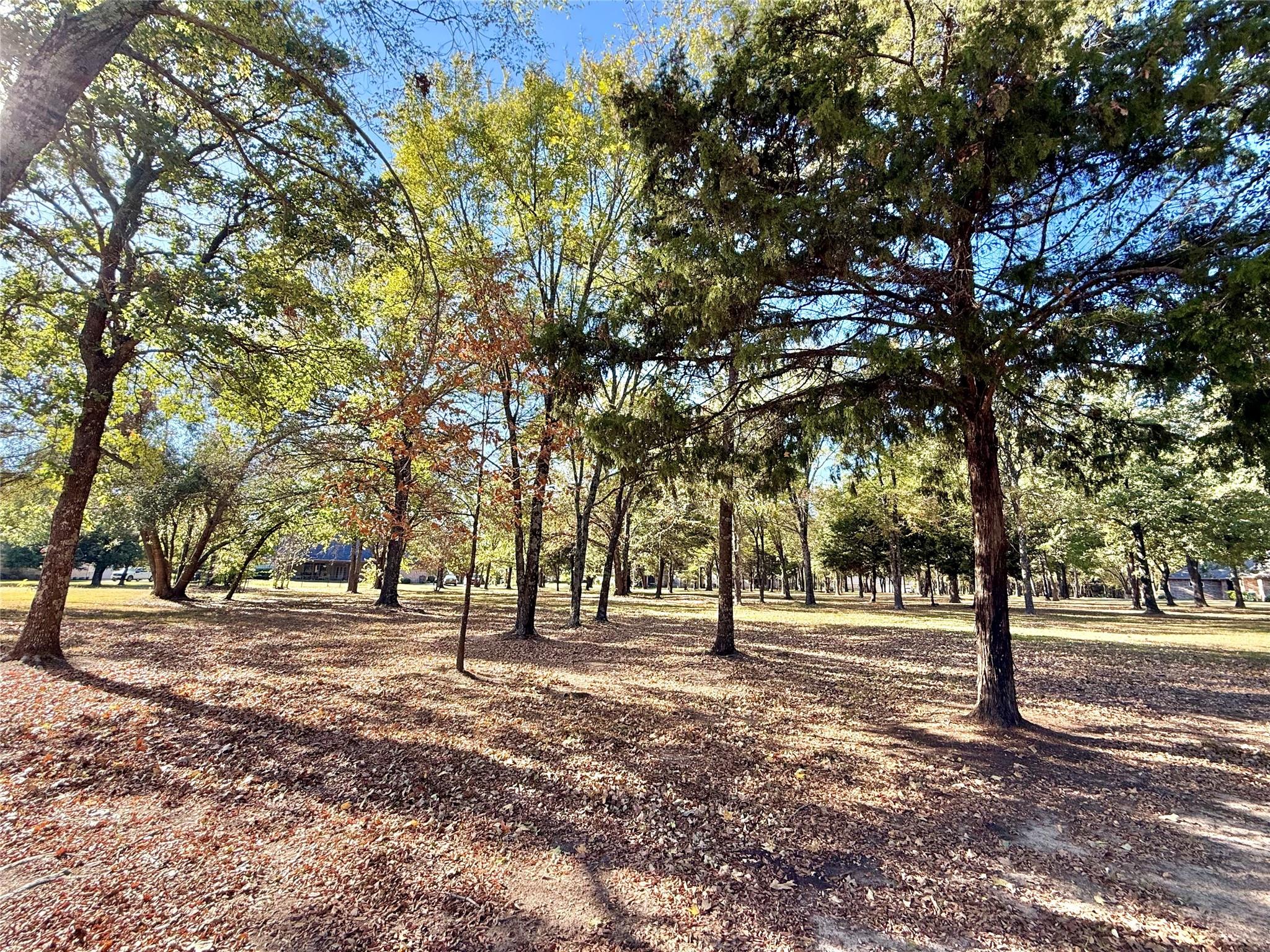main property photo 12