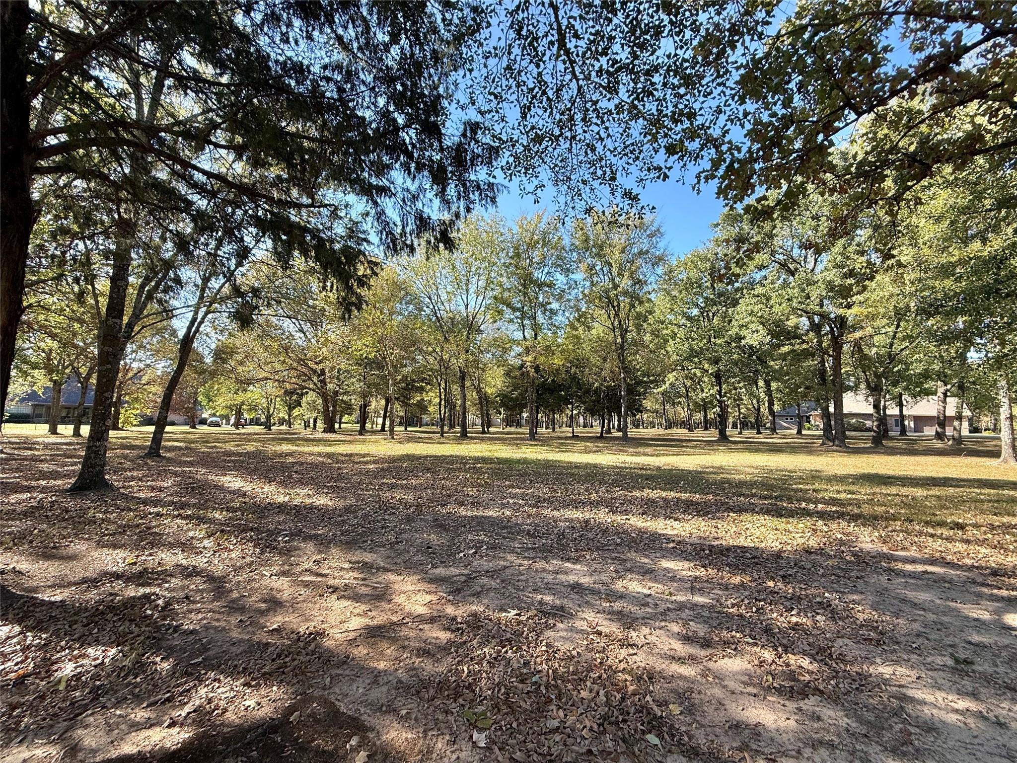 main property photo 7