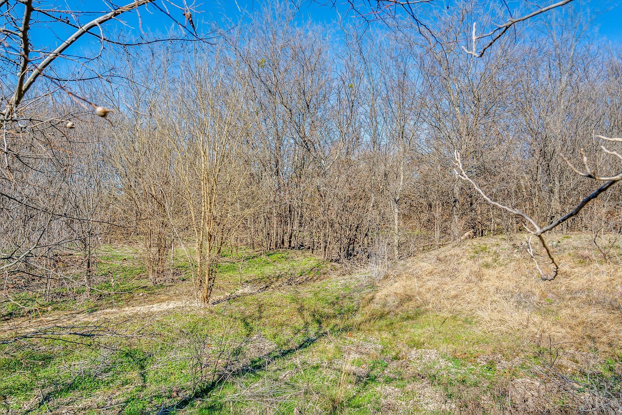 main property photo 26