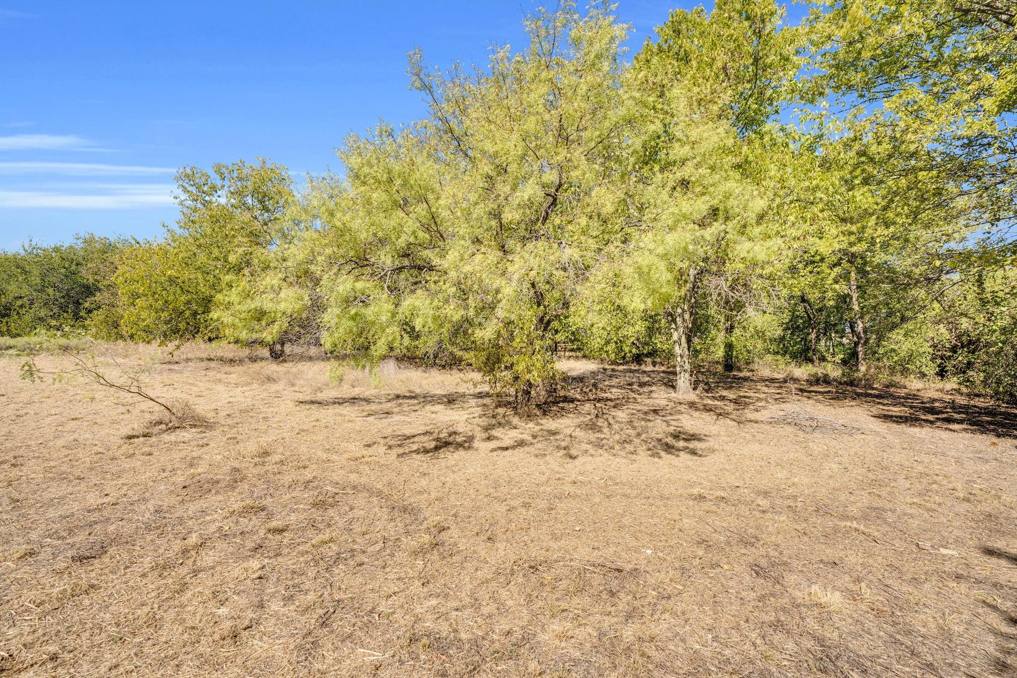 main property photo 7