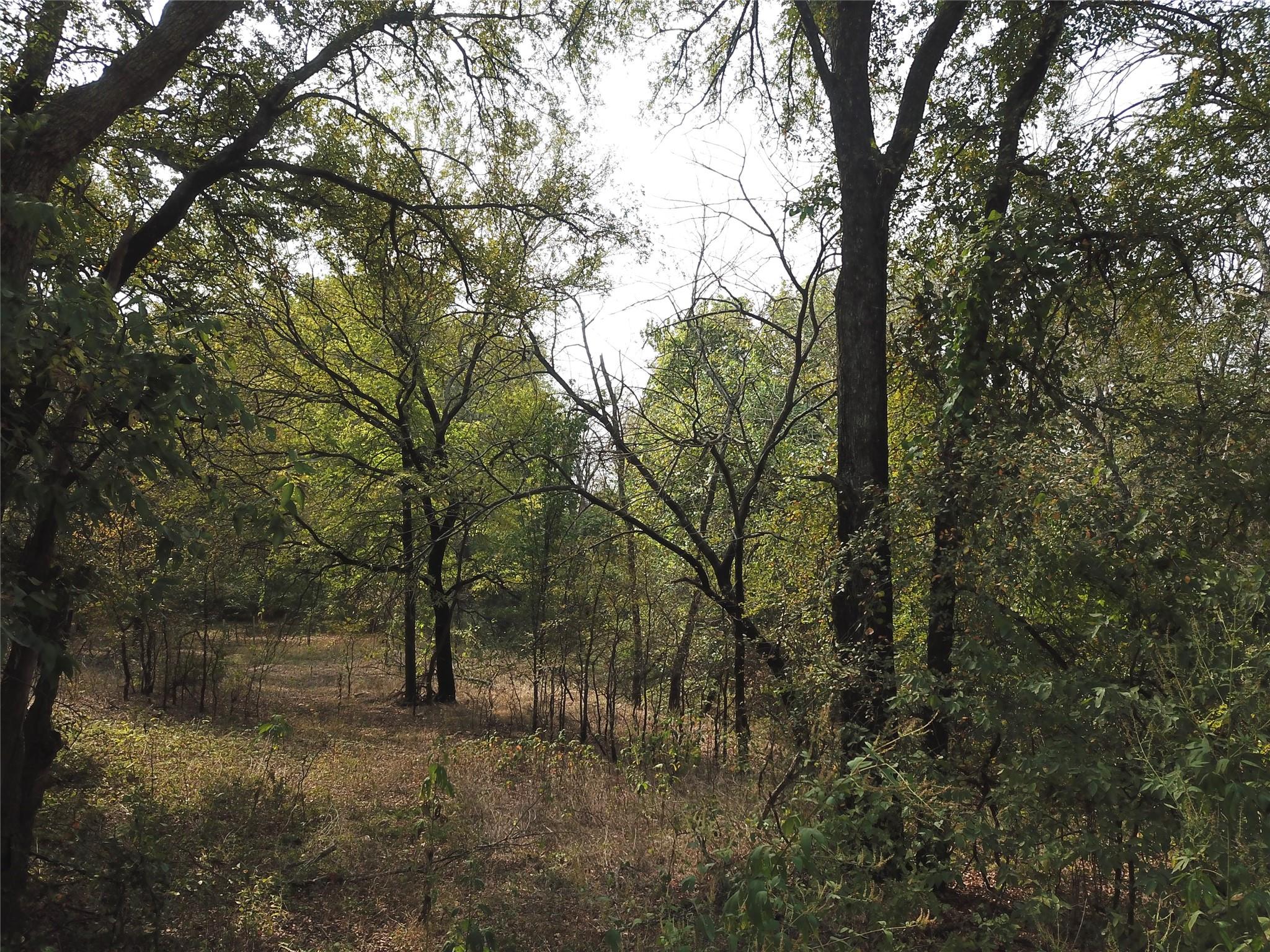 main property photo 13