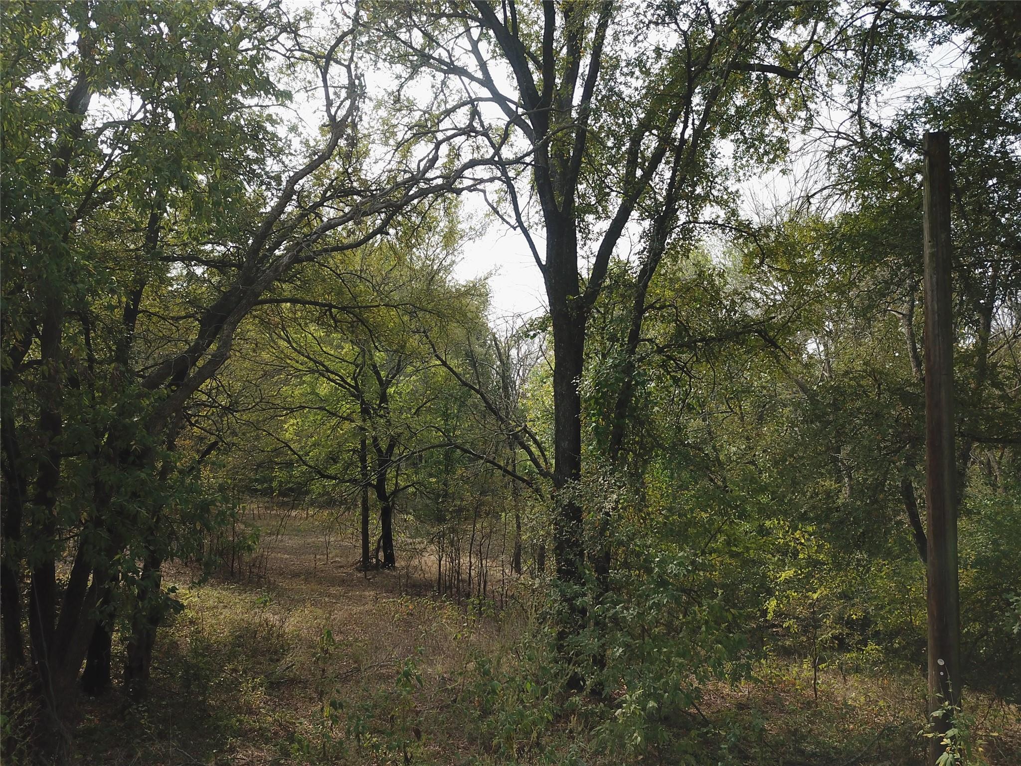 main property photo 14