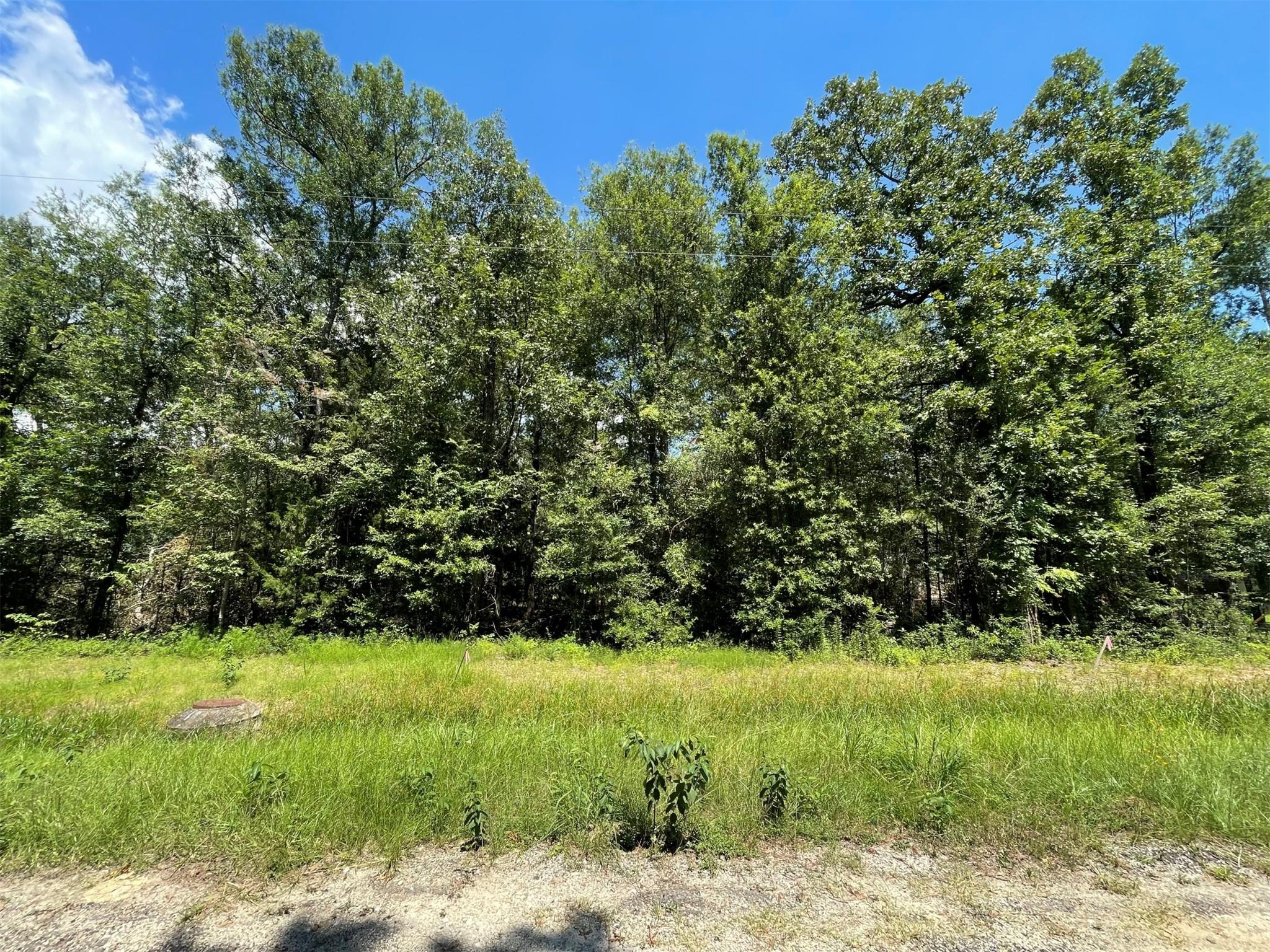 main property photo 33