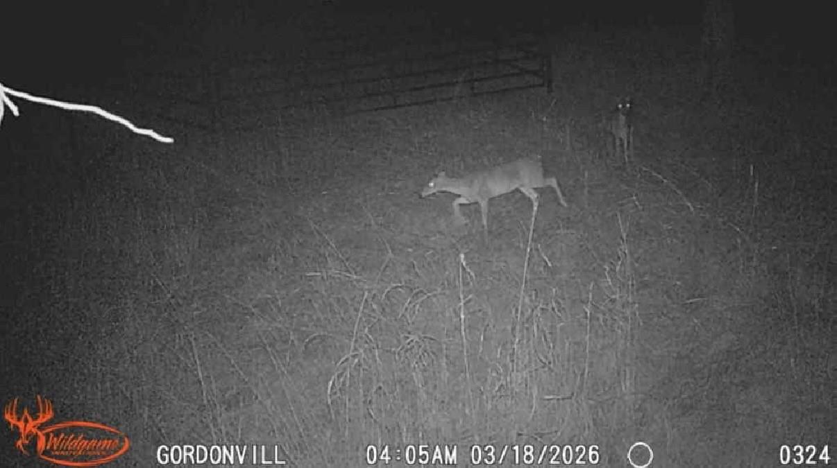 main property photo 19