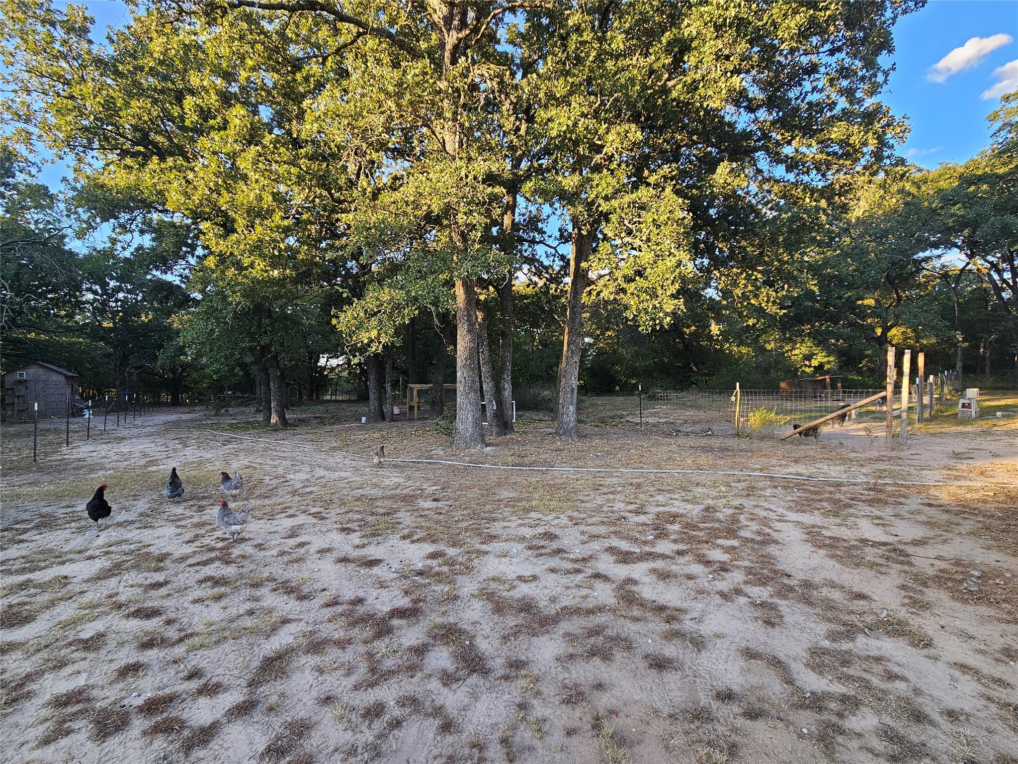 main property photo 24