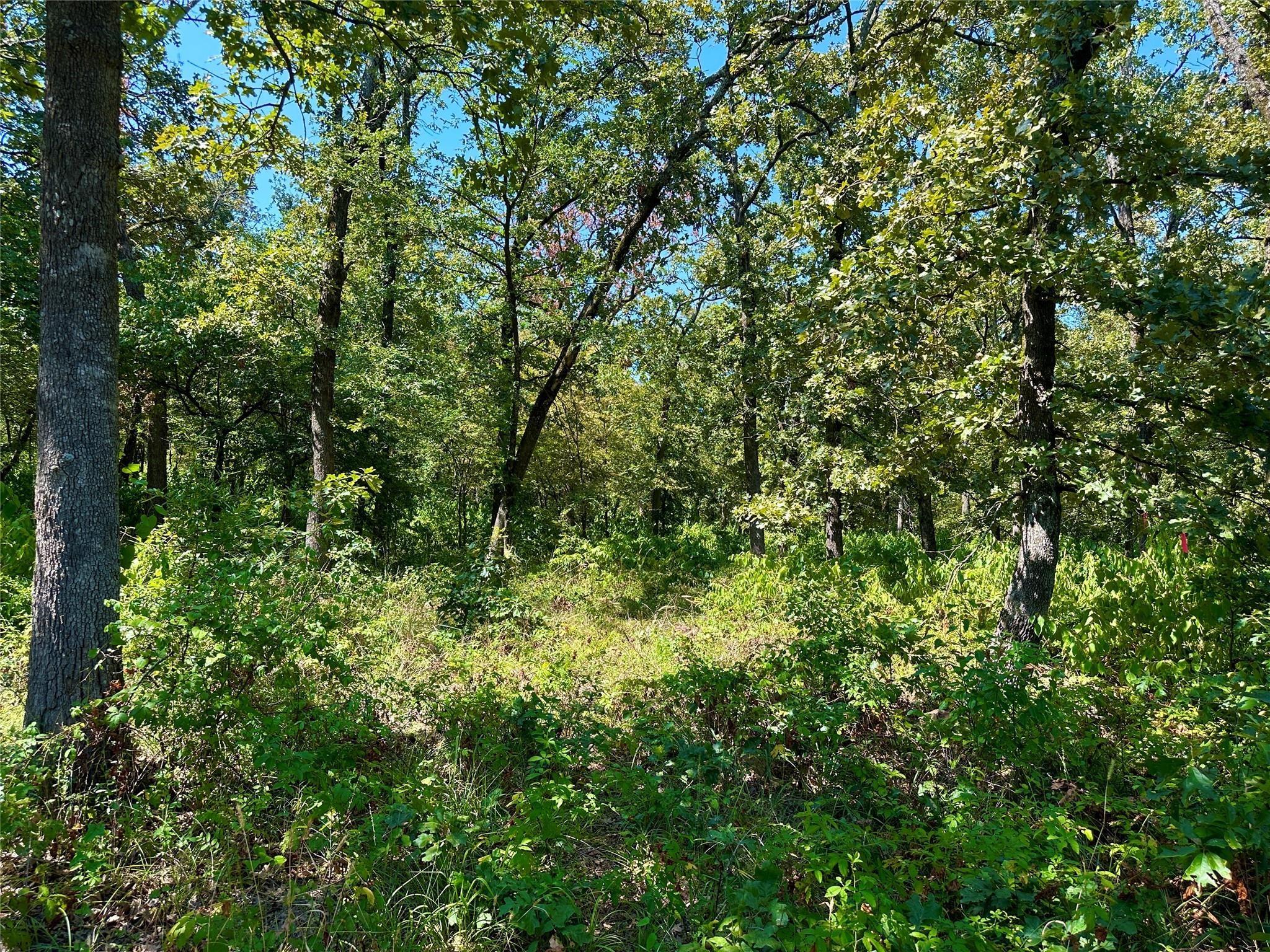 main property photo 14