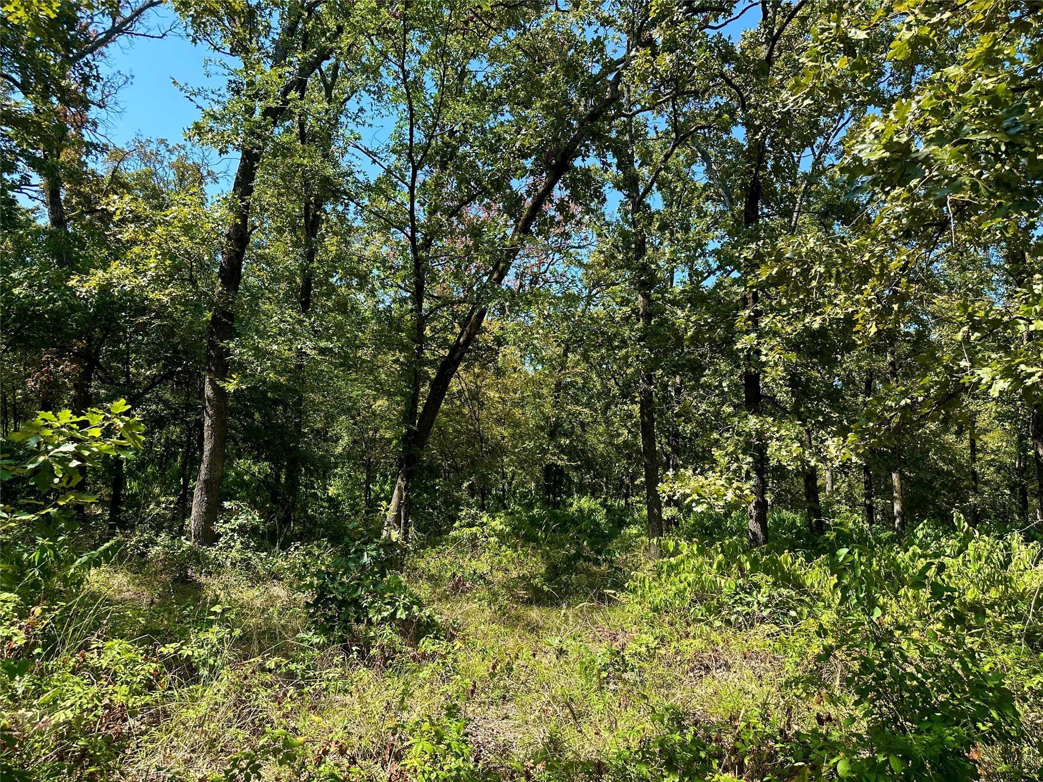 main property photo 6