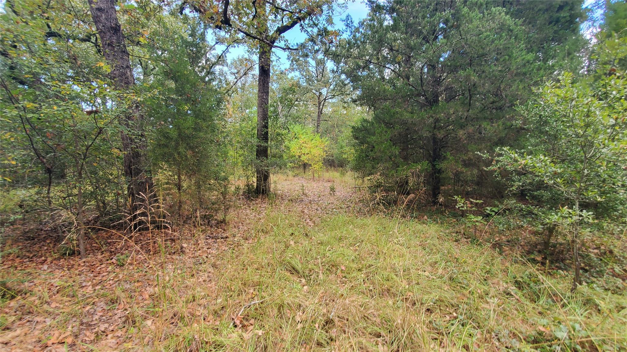 main property photo 11