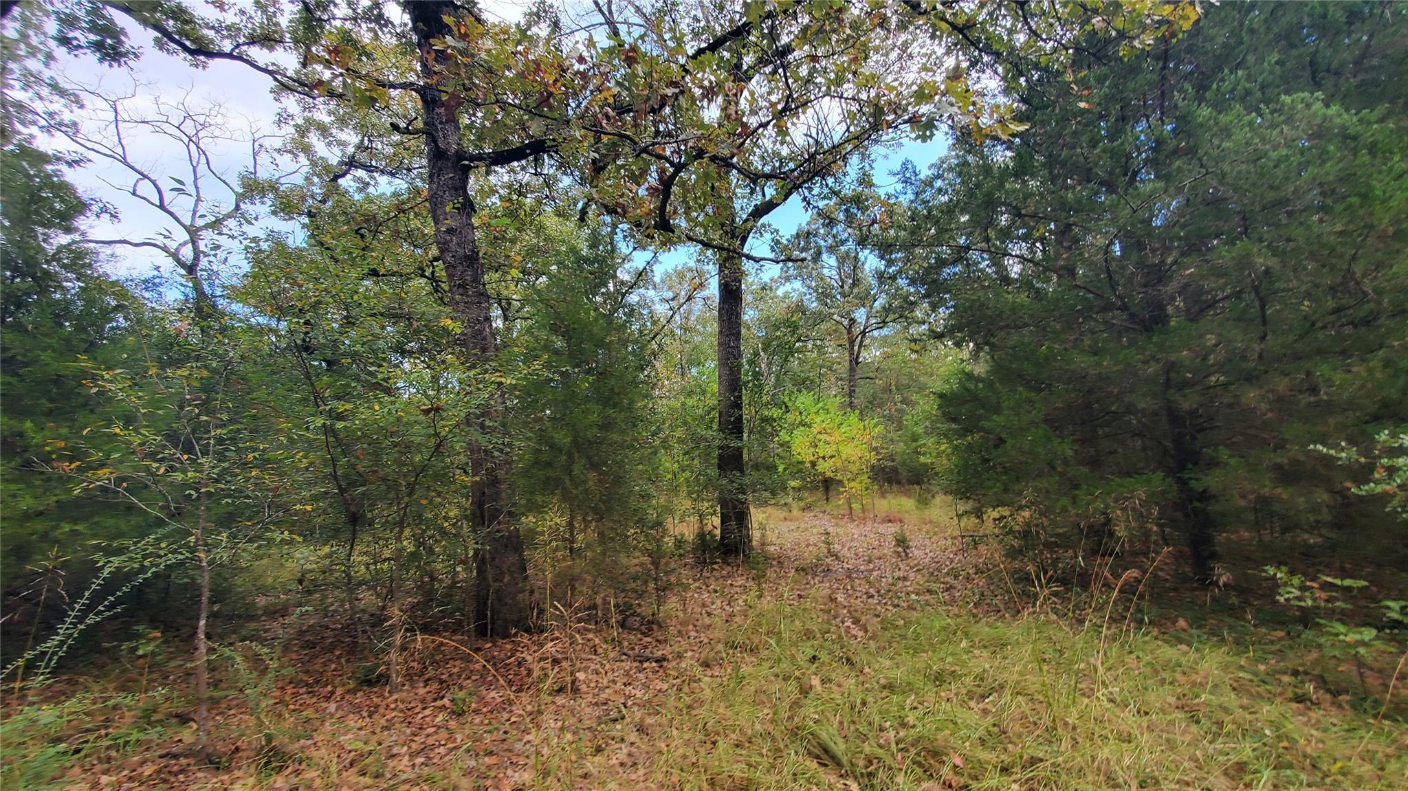 main property photo 12