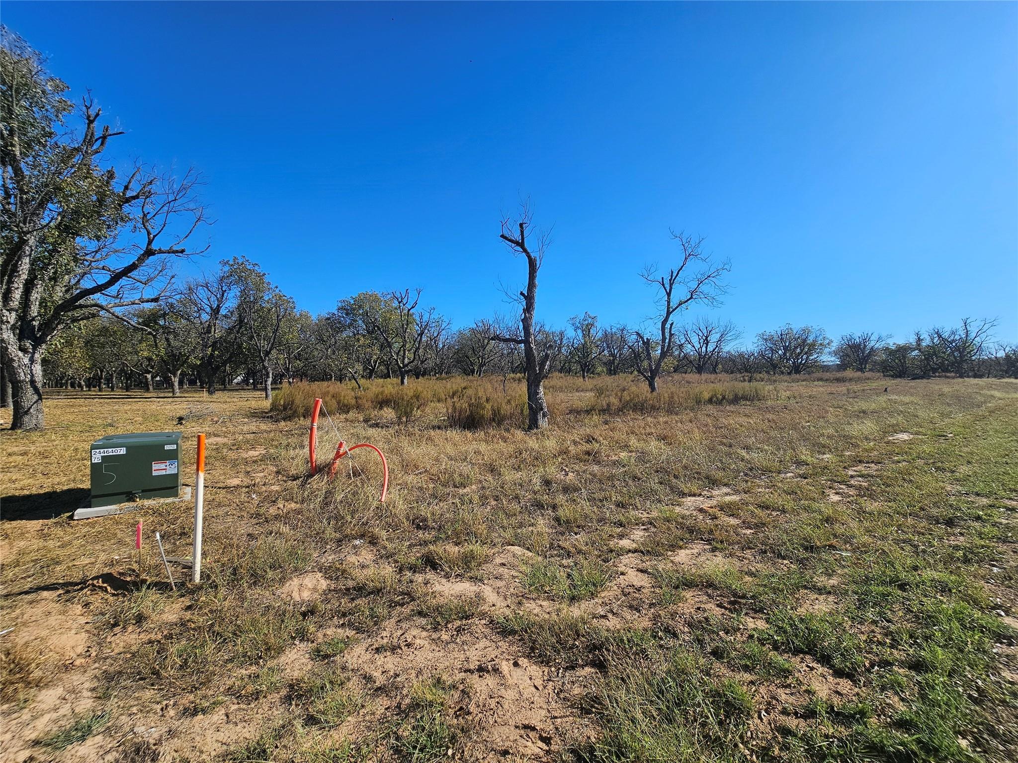 main property photo 10