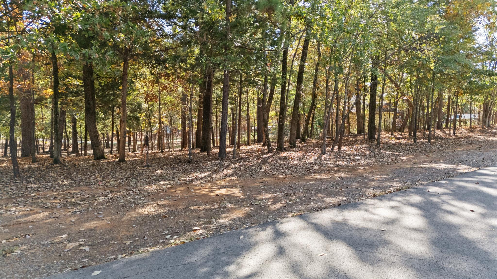 main property photo 13