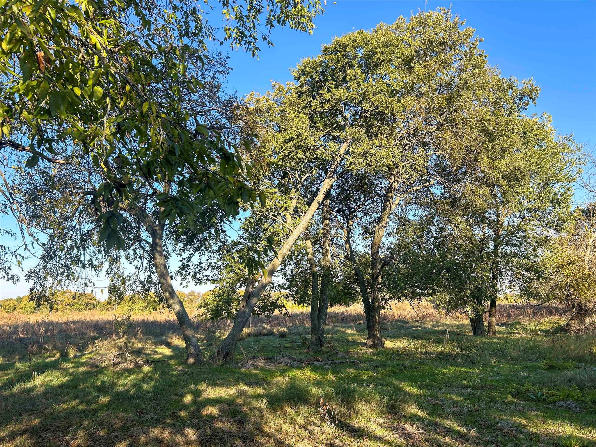 main property photo 12