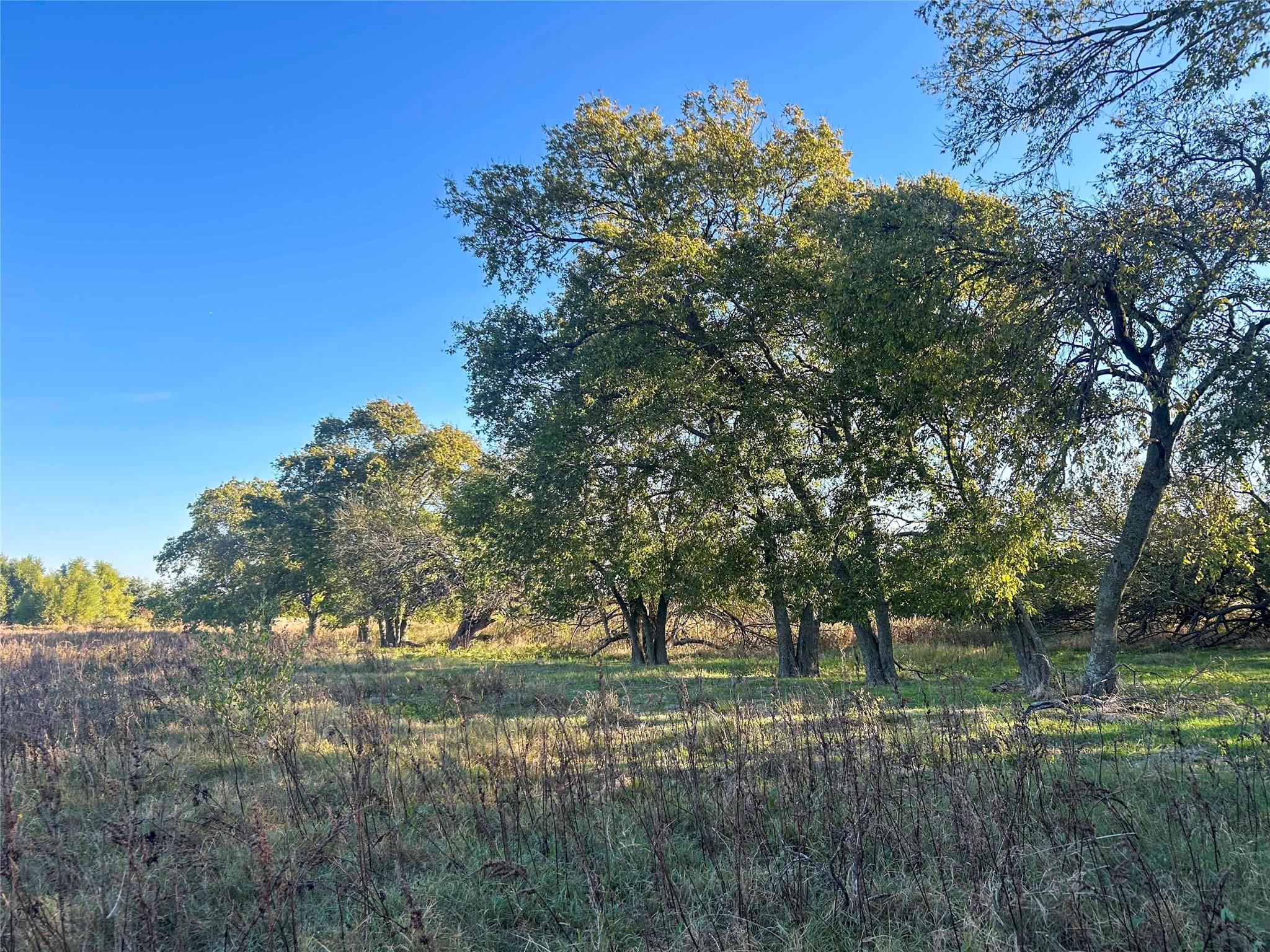 main property photo 19