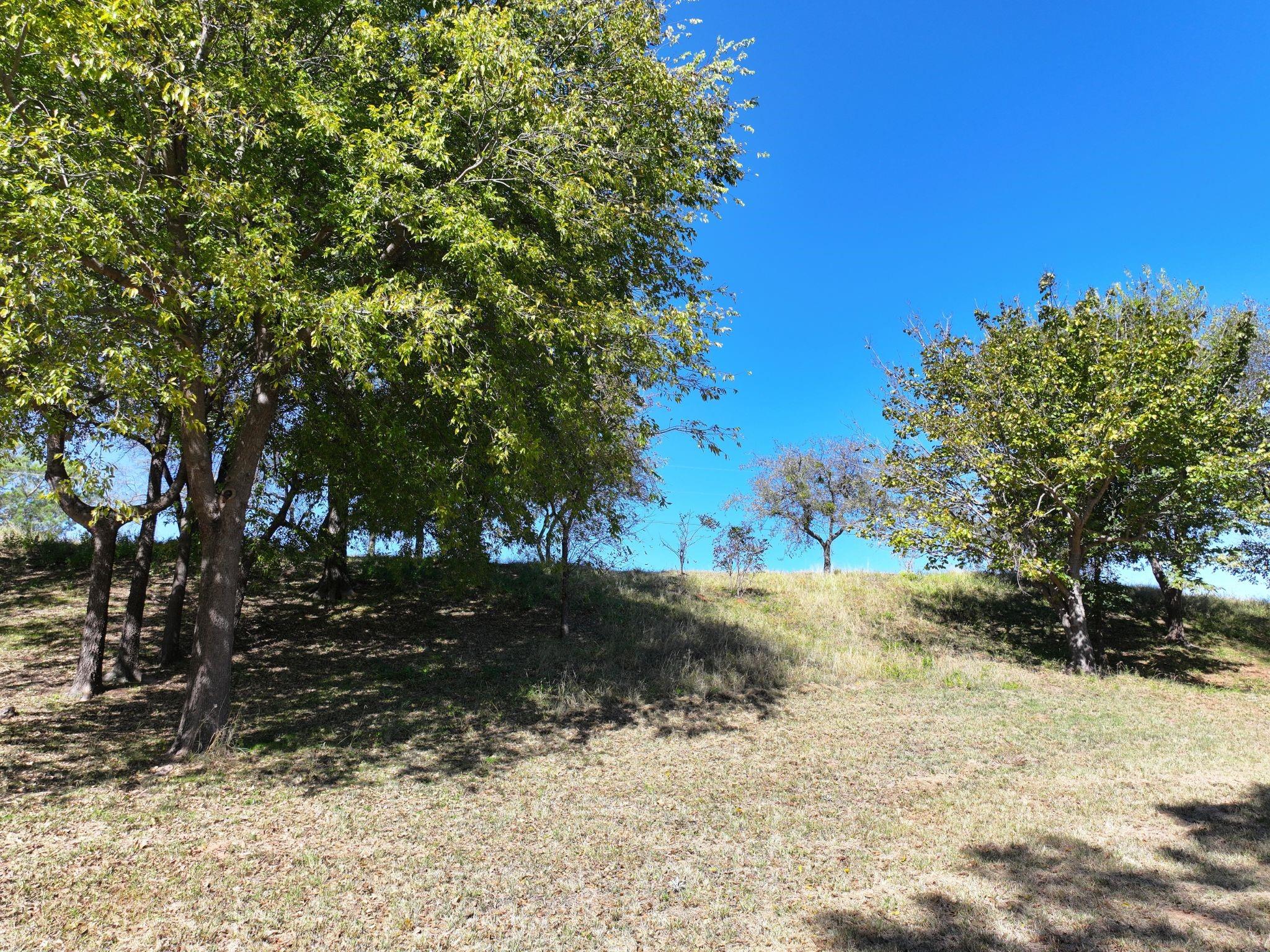 main property photo 26