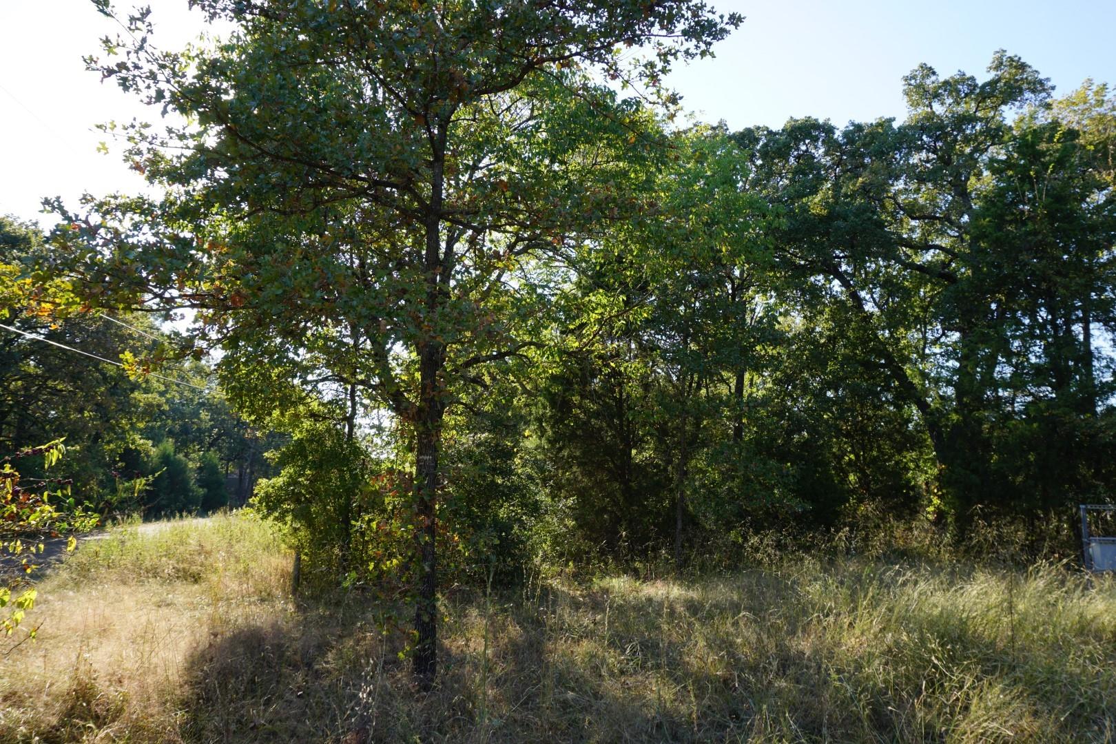 main property photo 16