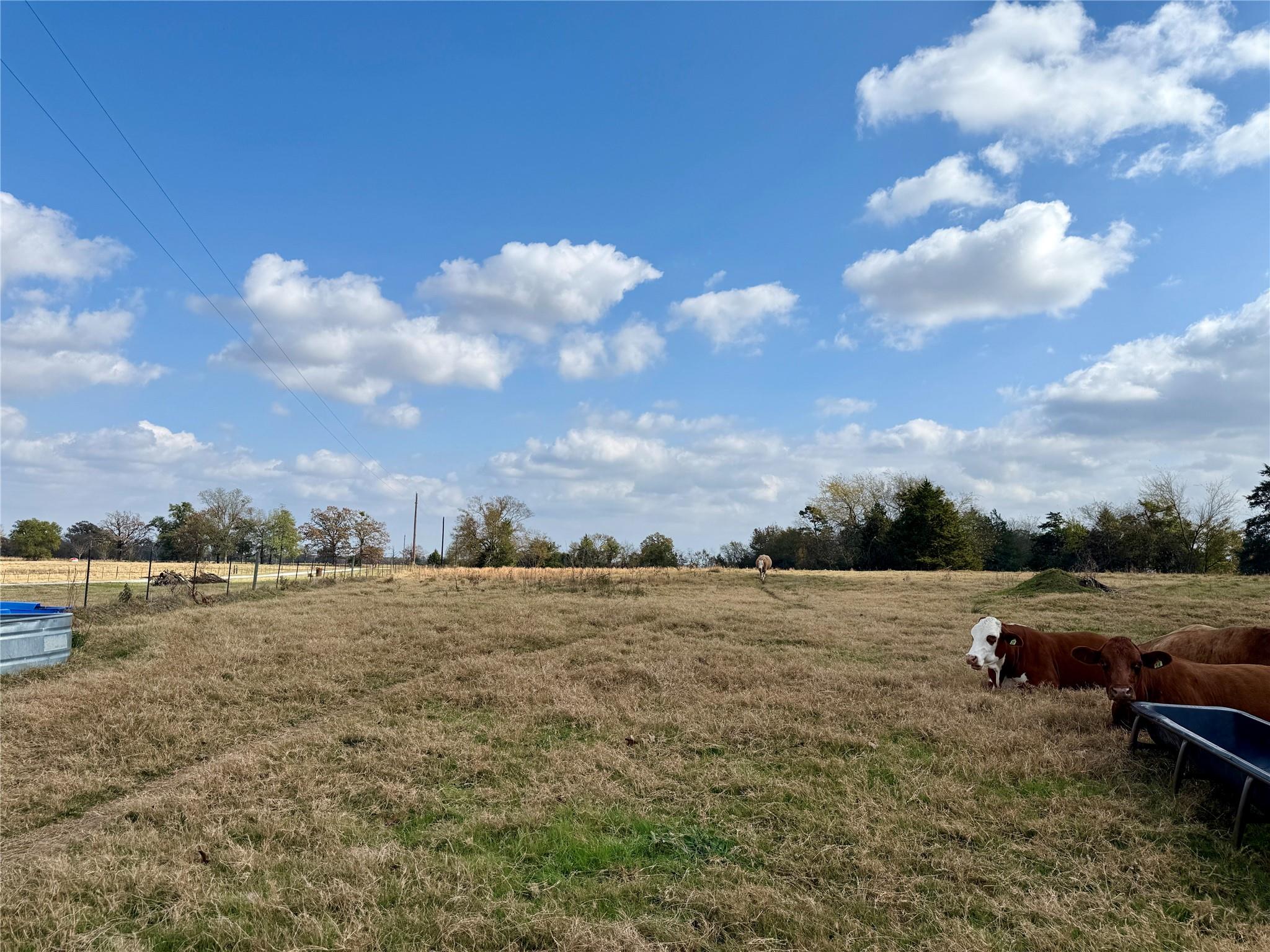 property viewer photo 5
