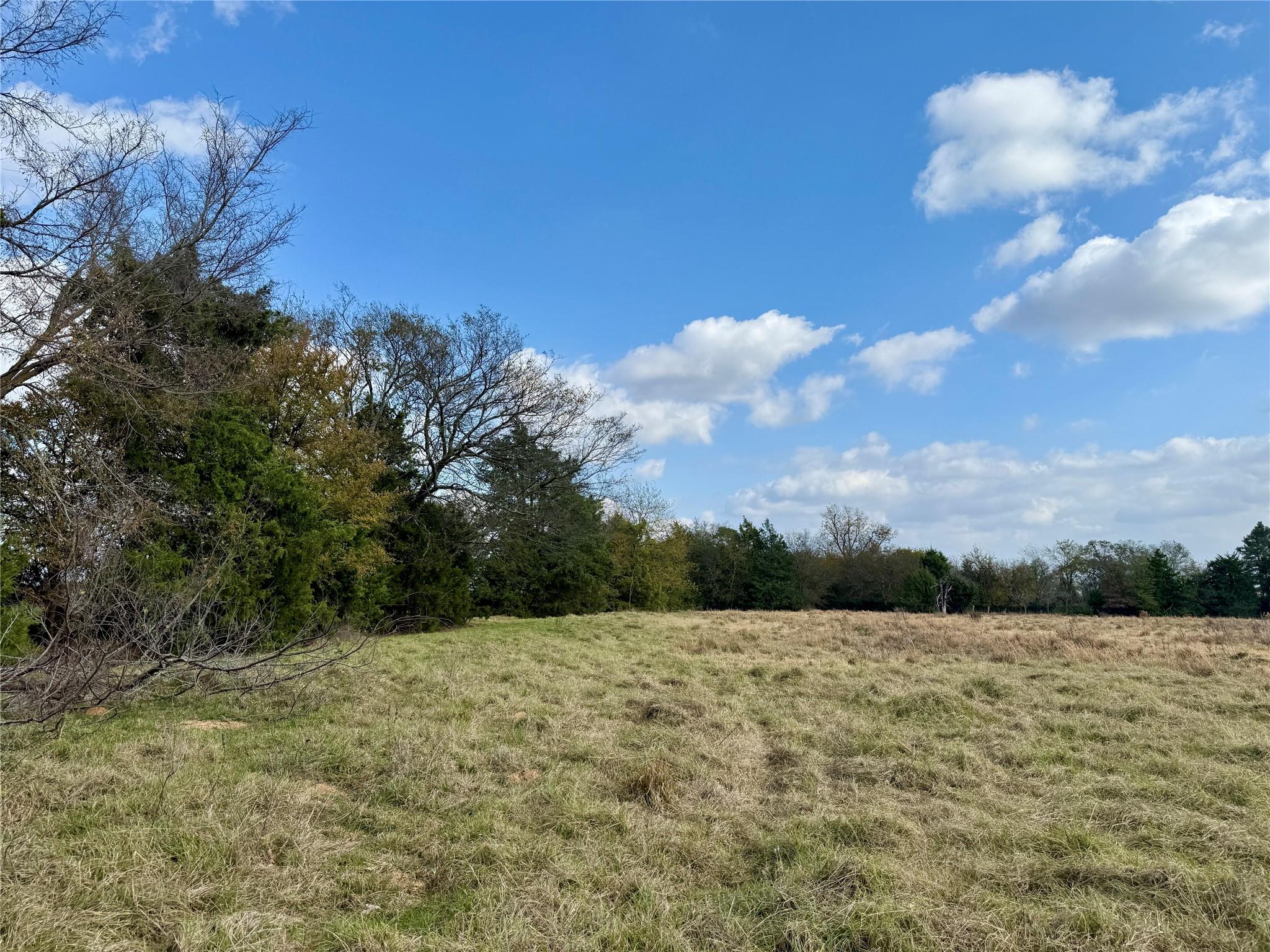 property viewer photo 8