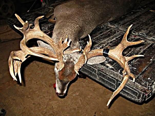 main property photo 3