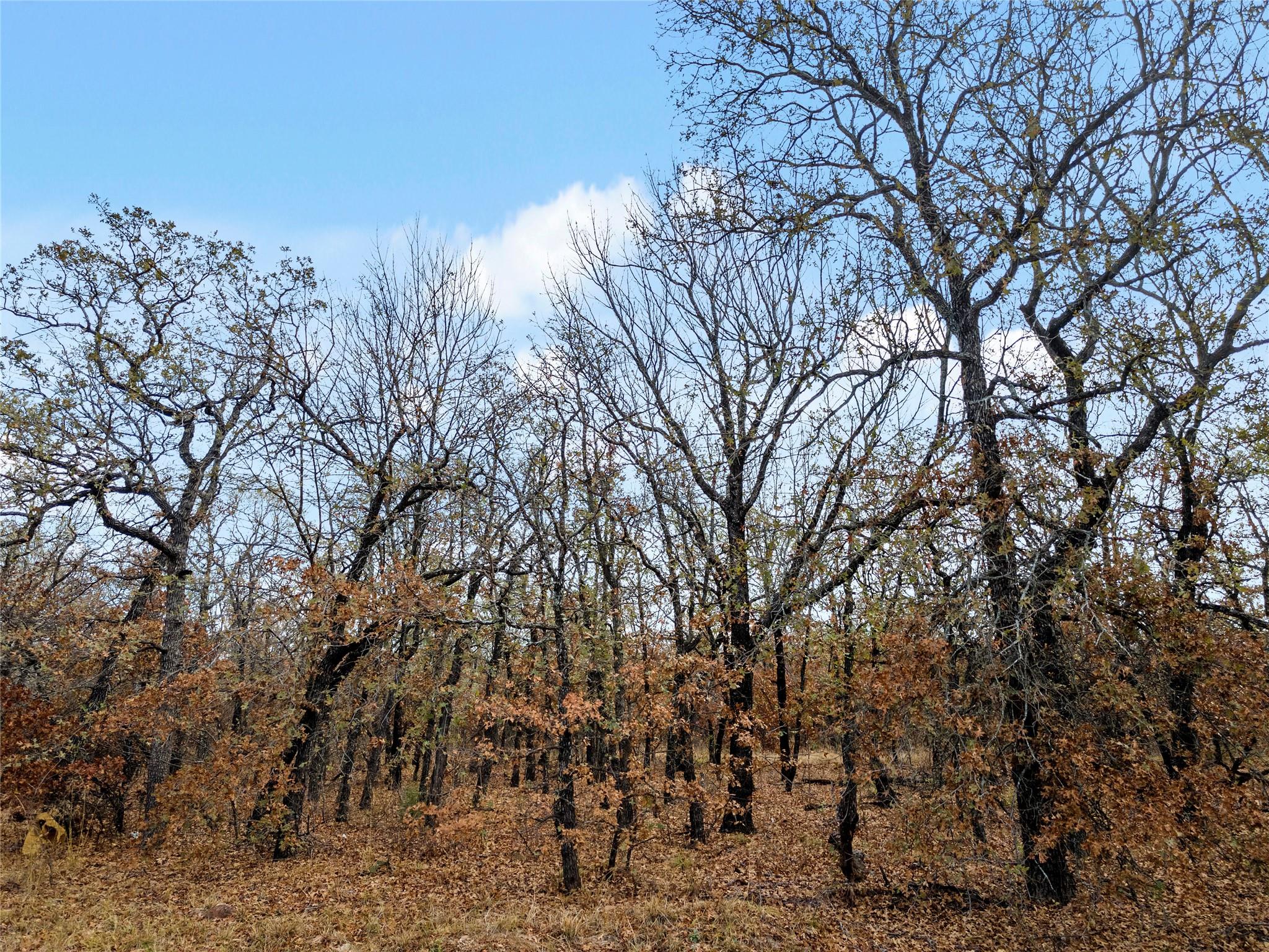 main property photo 29