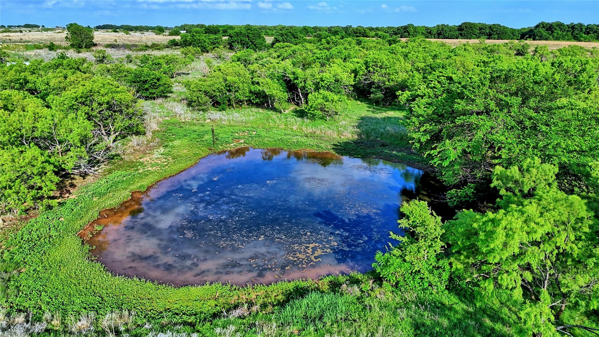 main property photo 22