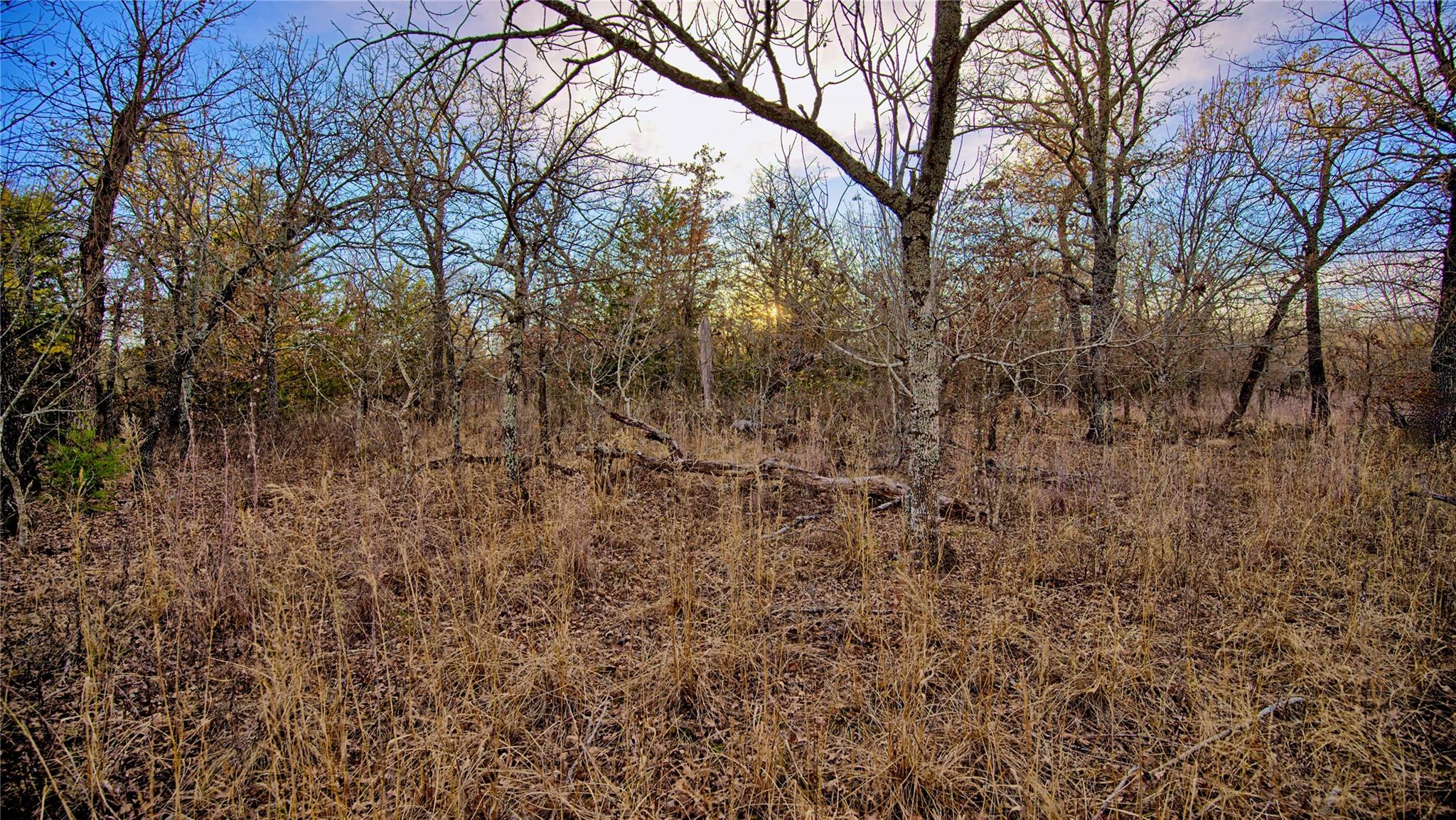 main property photo 11