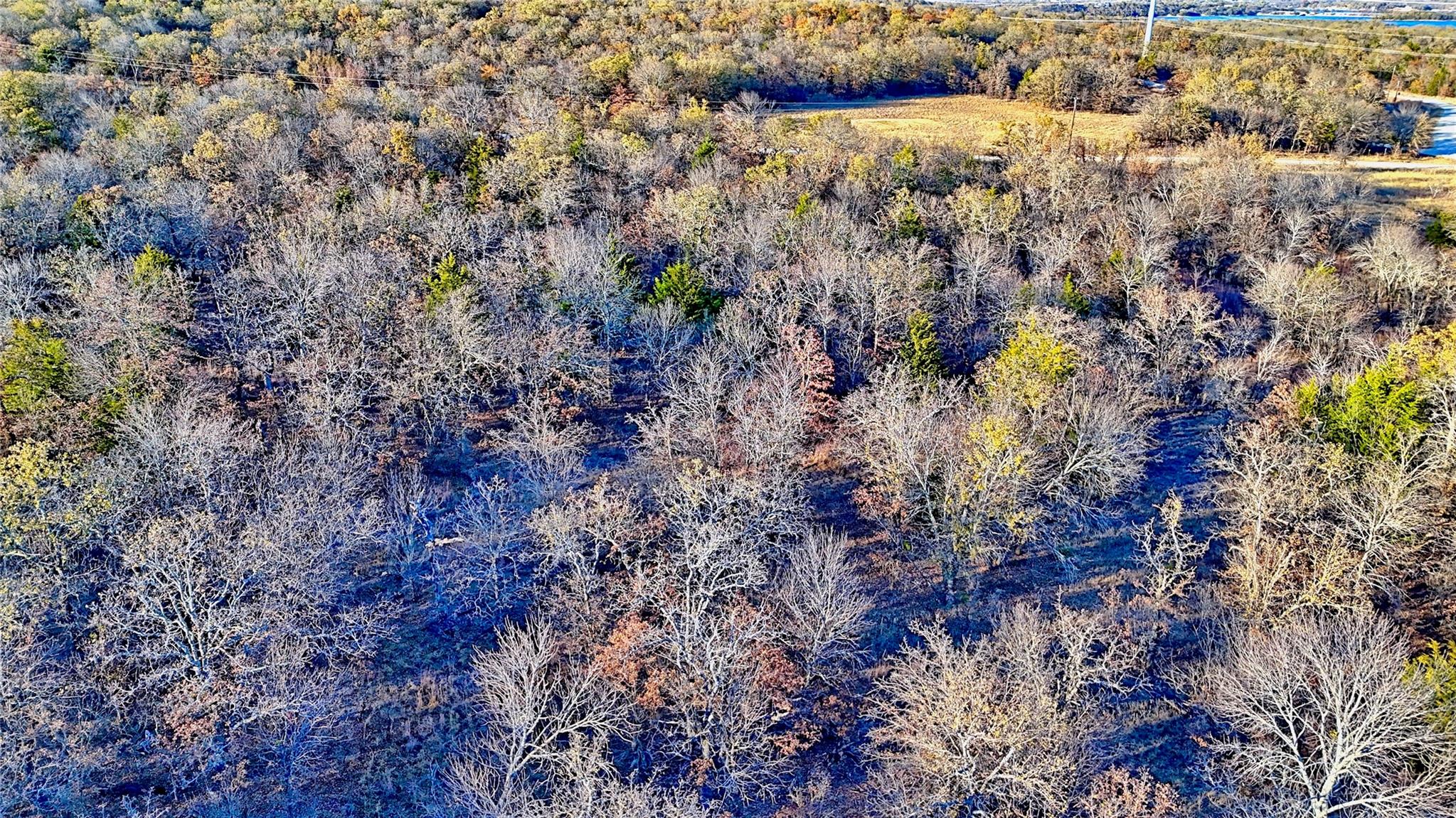 main property photo 13