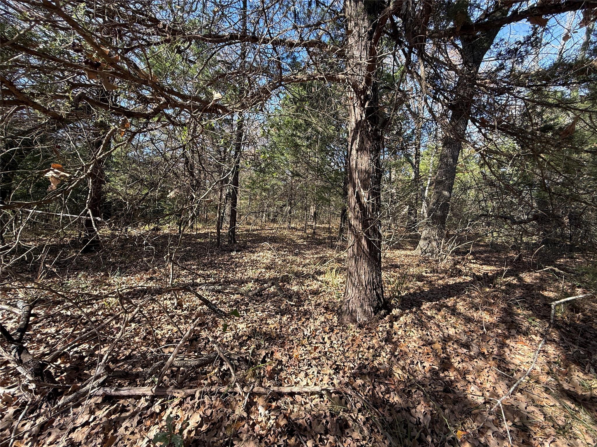 main property photo 12