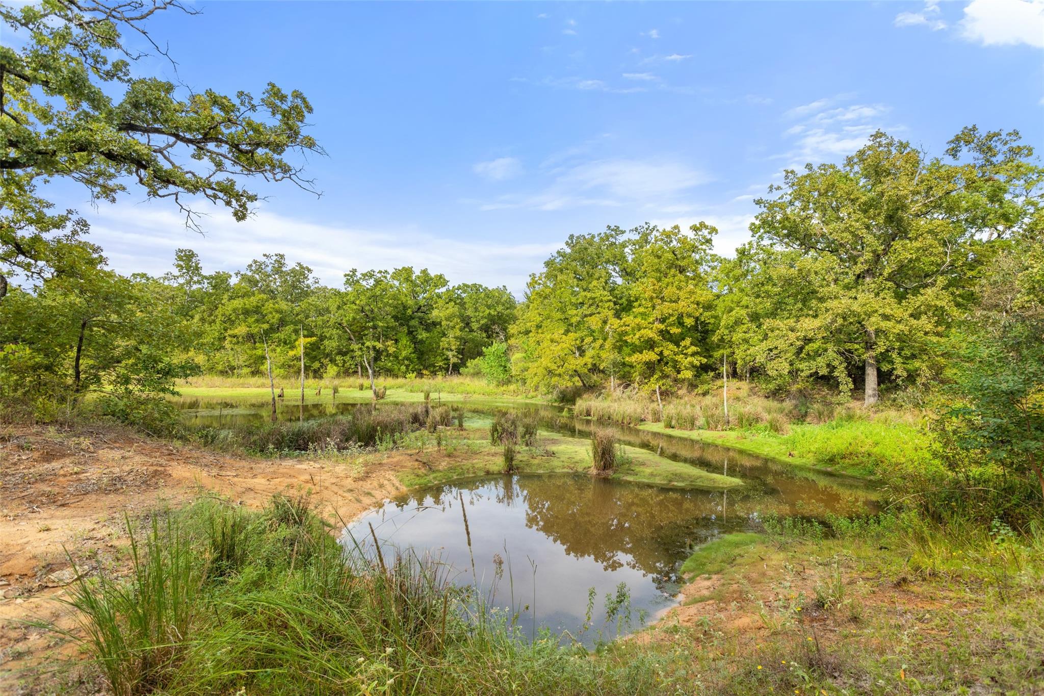 main property photo 36