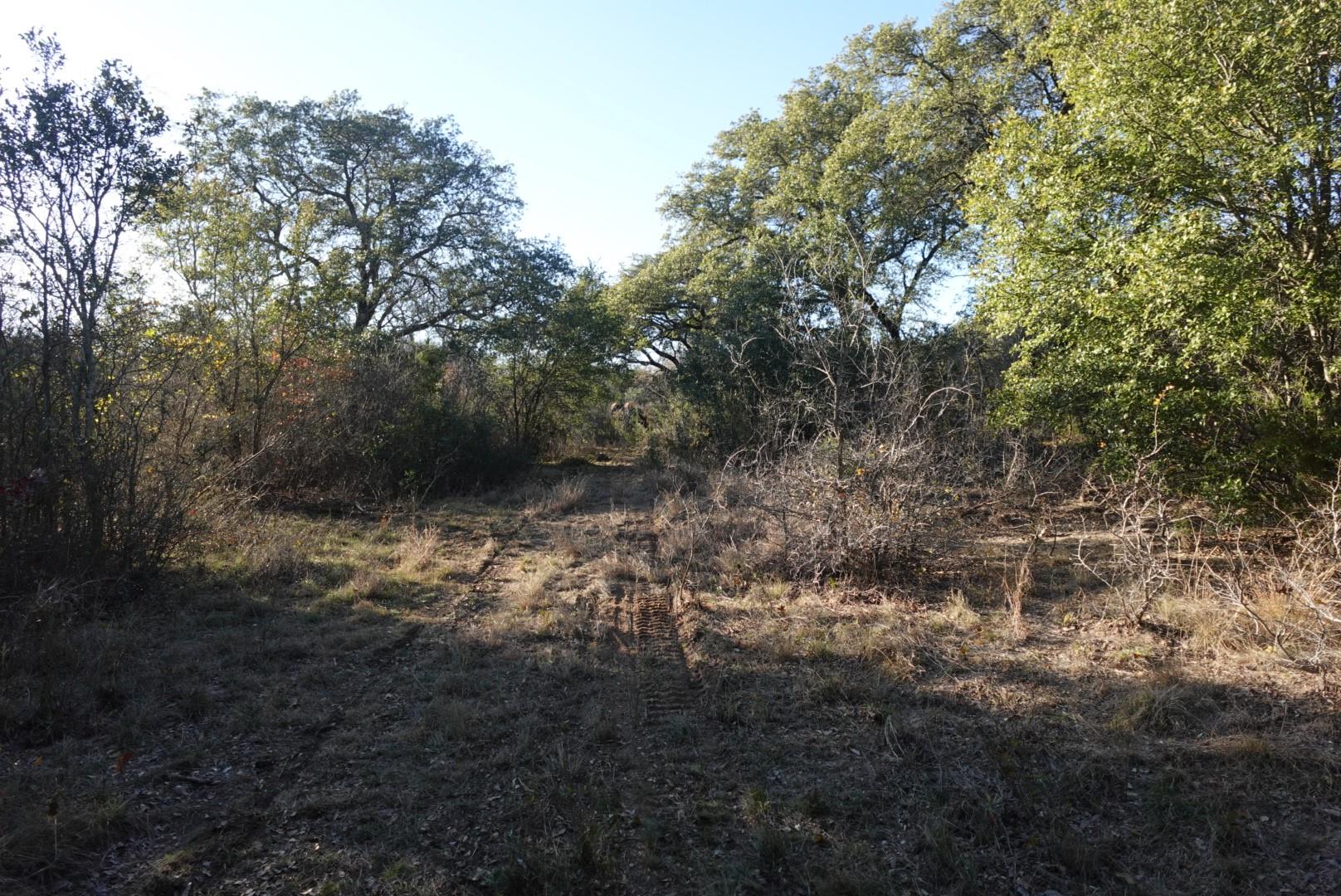 main property photo 11