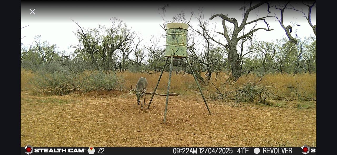 main property photo 27