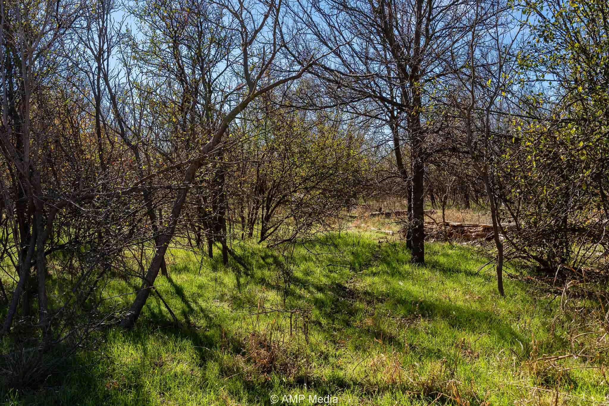 main property photo 8