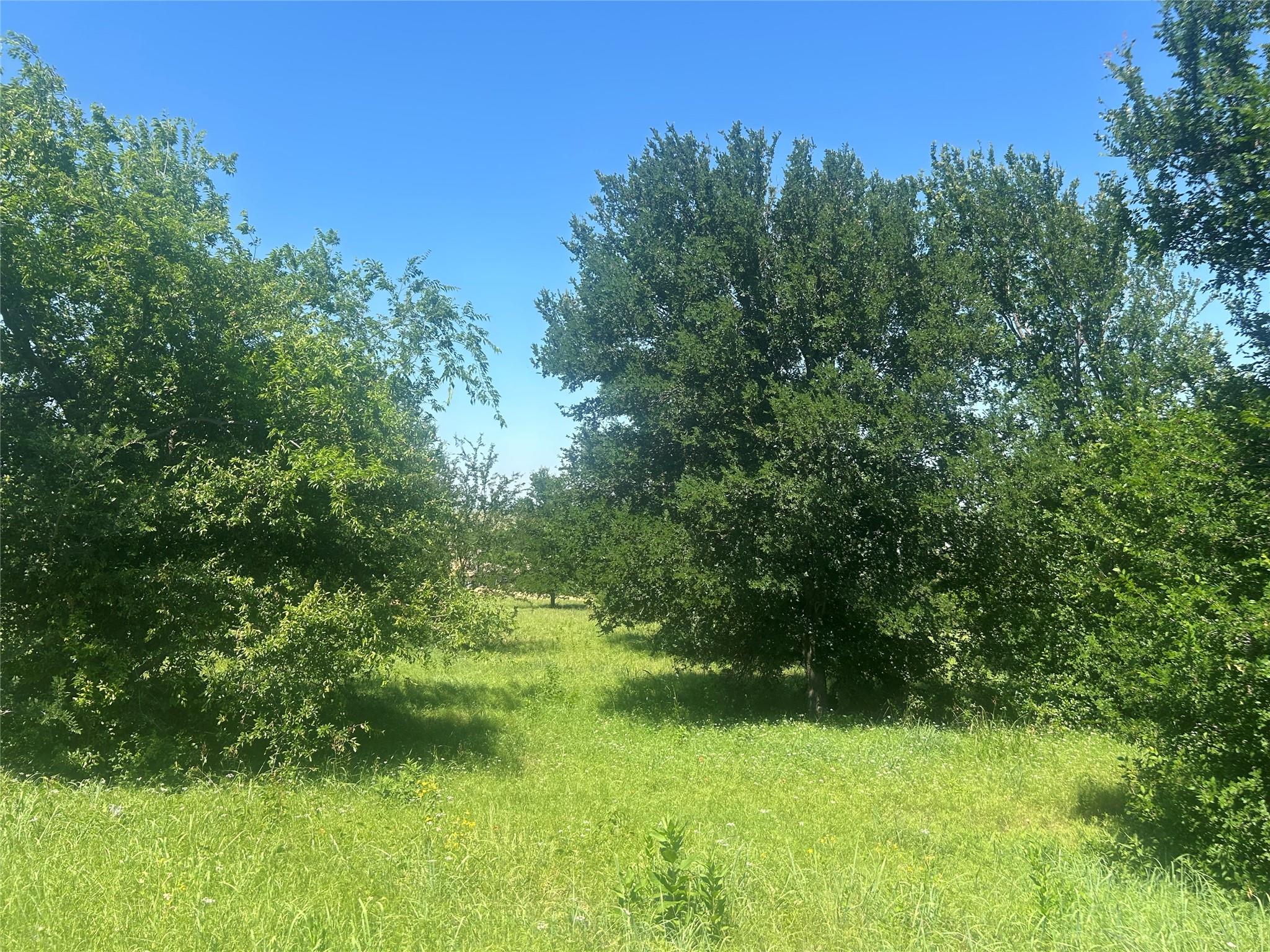 main property photo 13