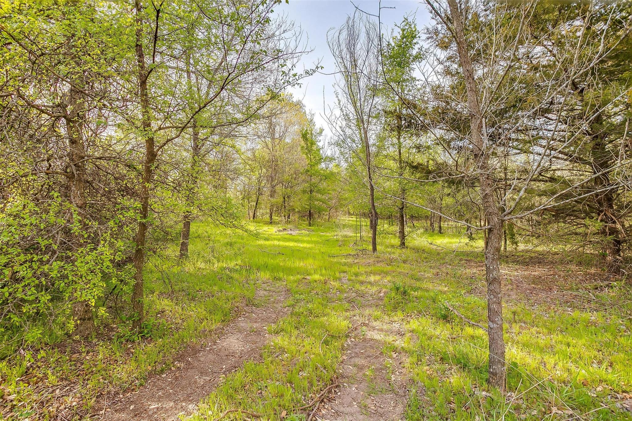 main property photo 35