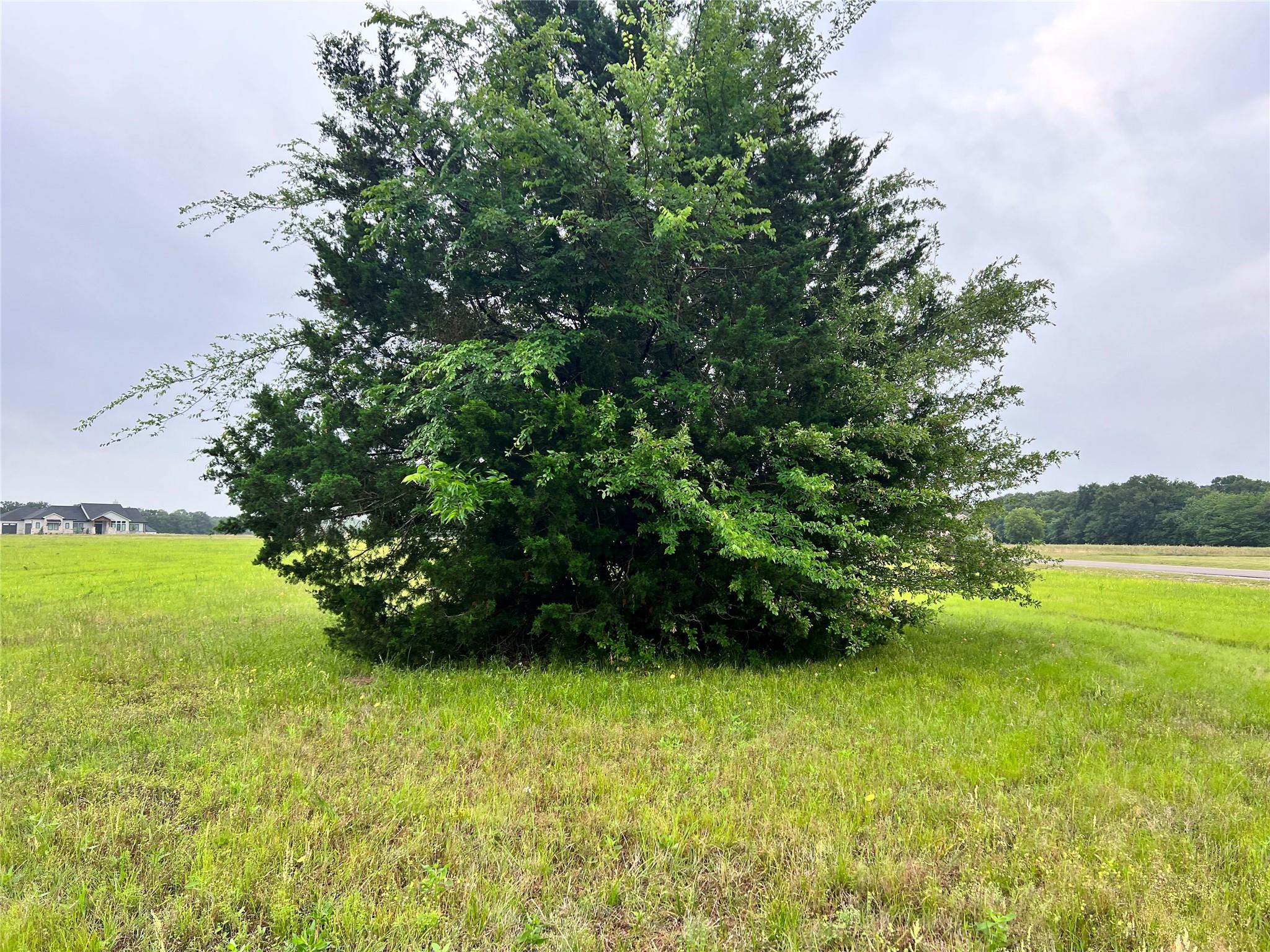 main property photo 23
