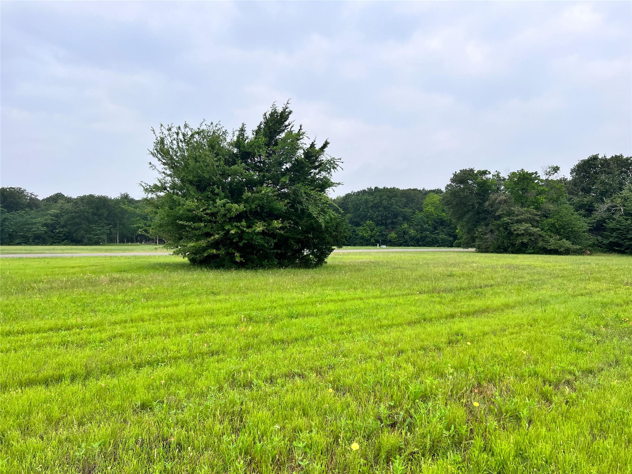 main property photo 32