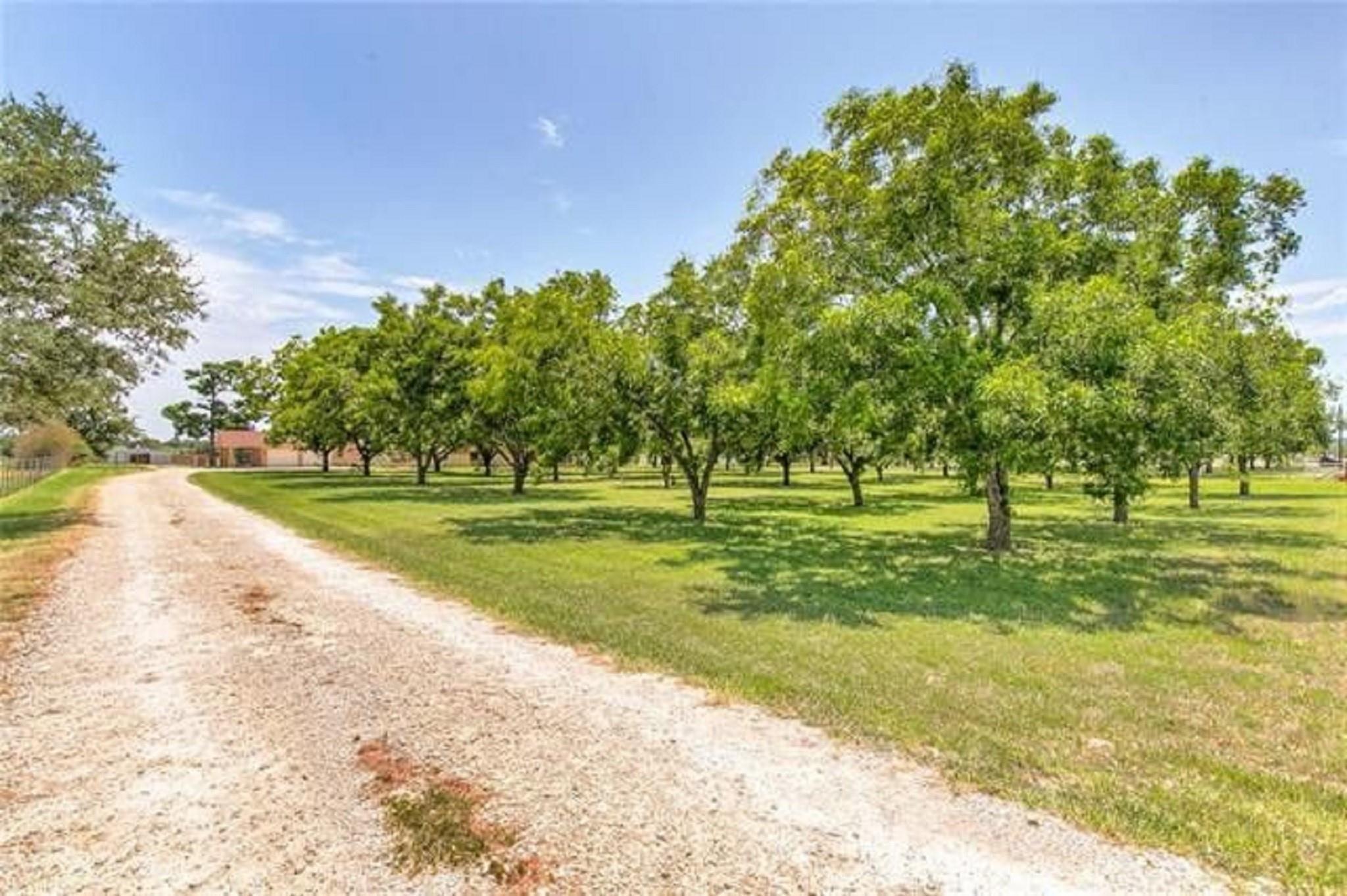 main property photo 39