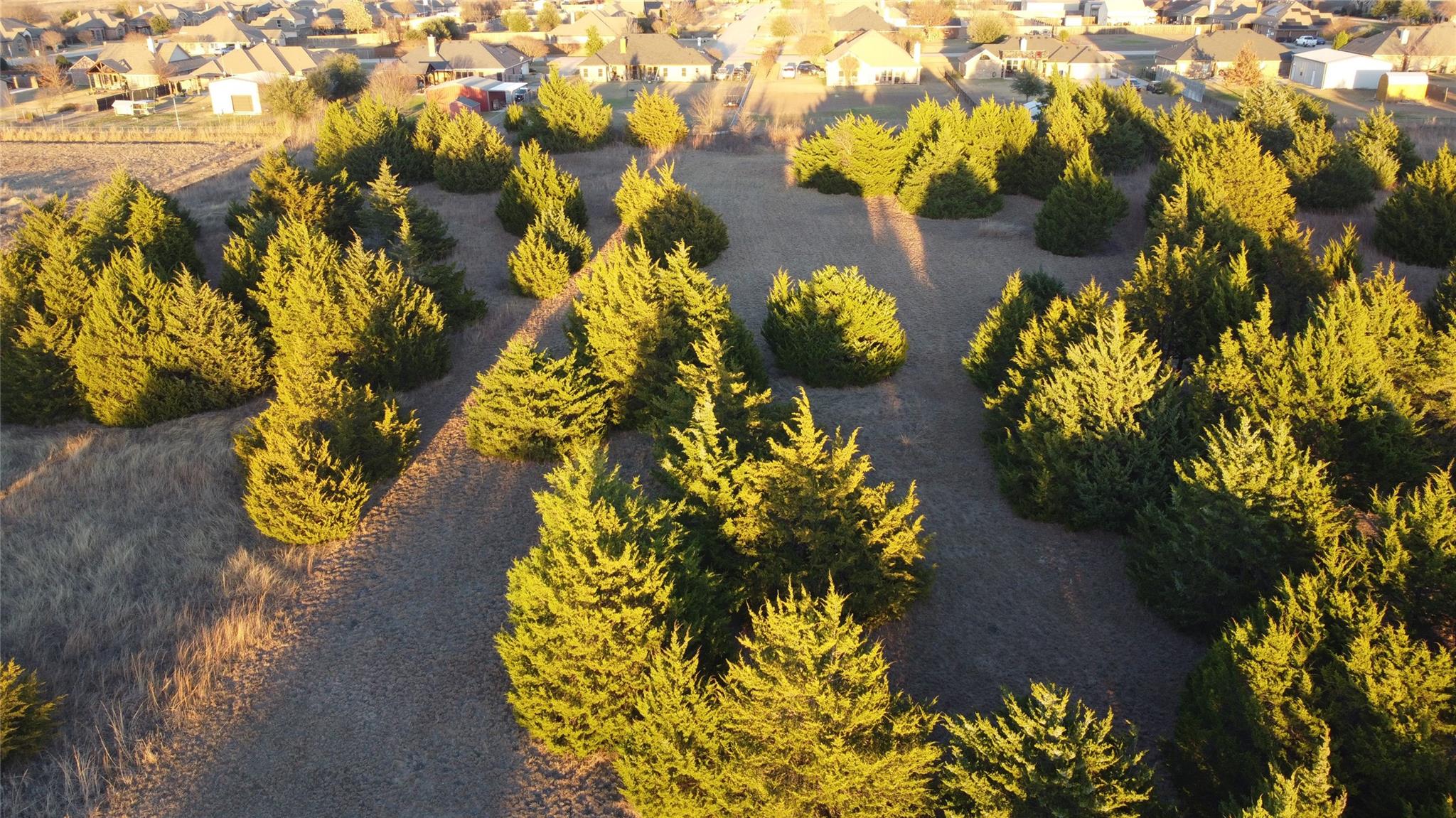 main property photo 11