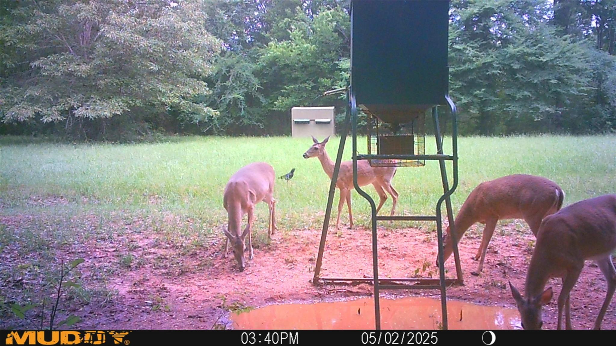 main property photo 37