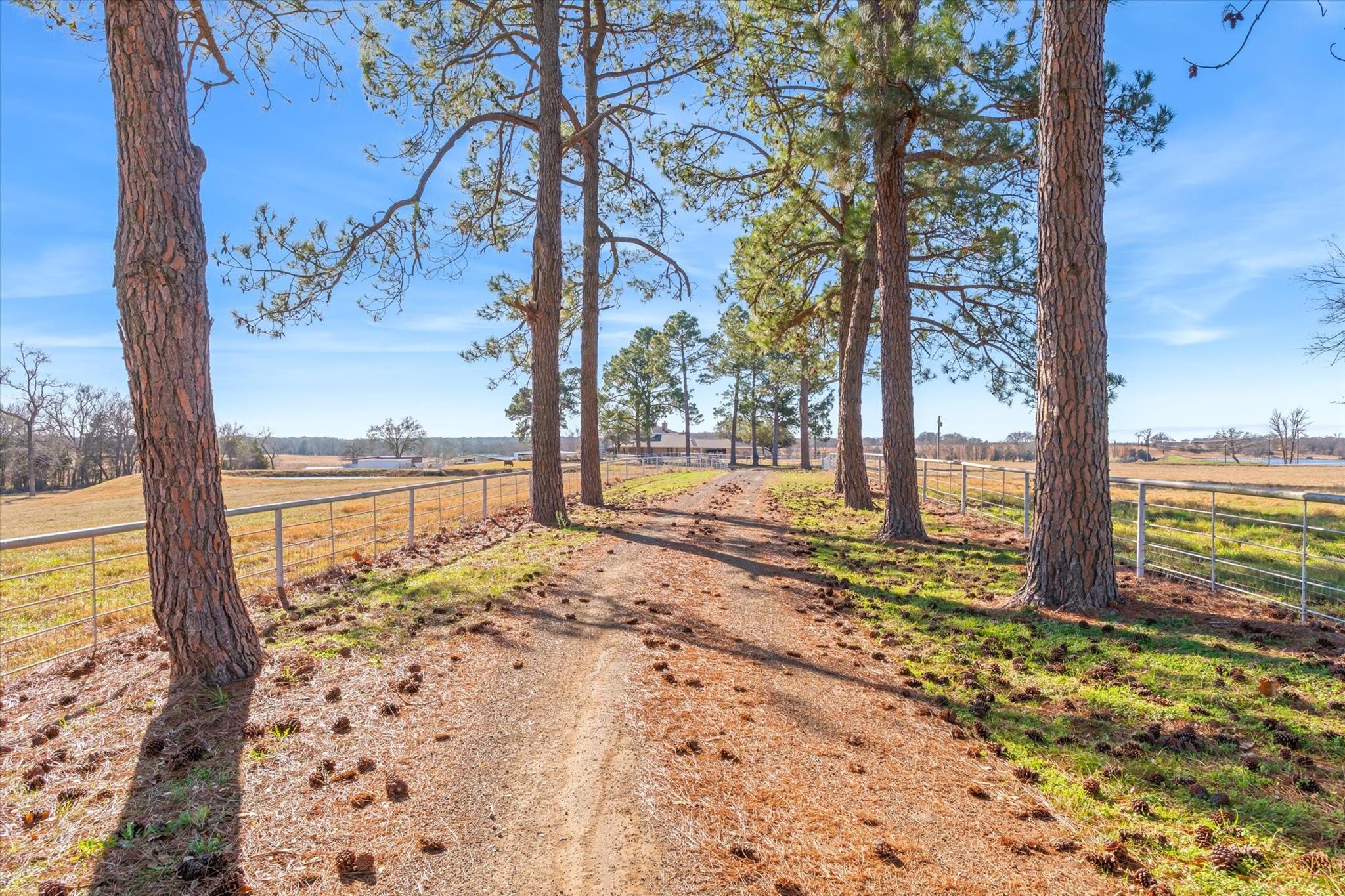 main property photo 37