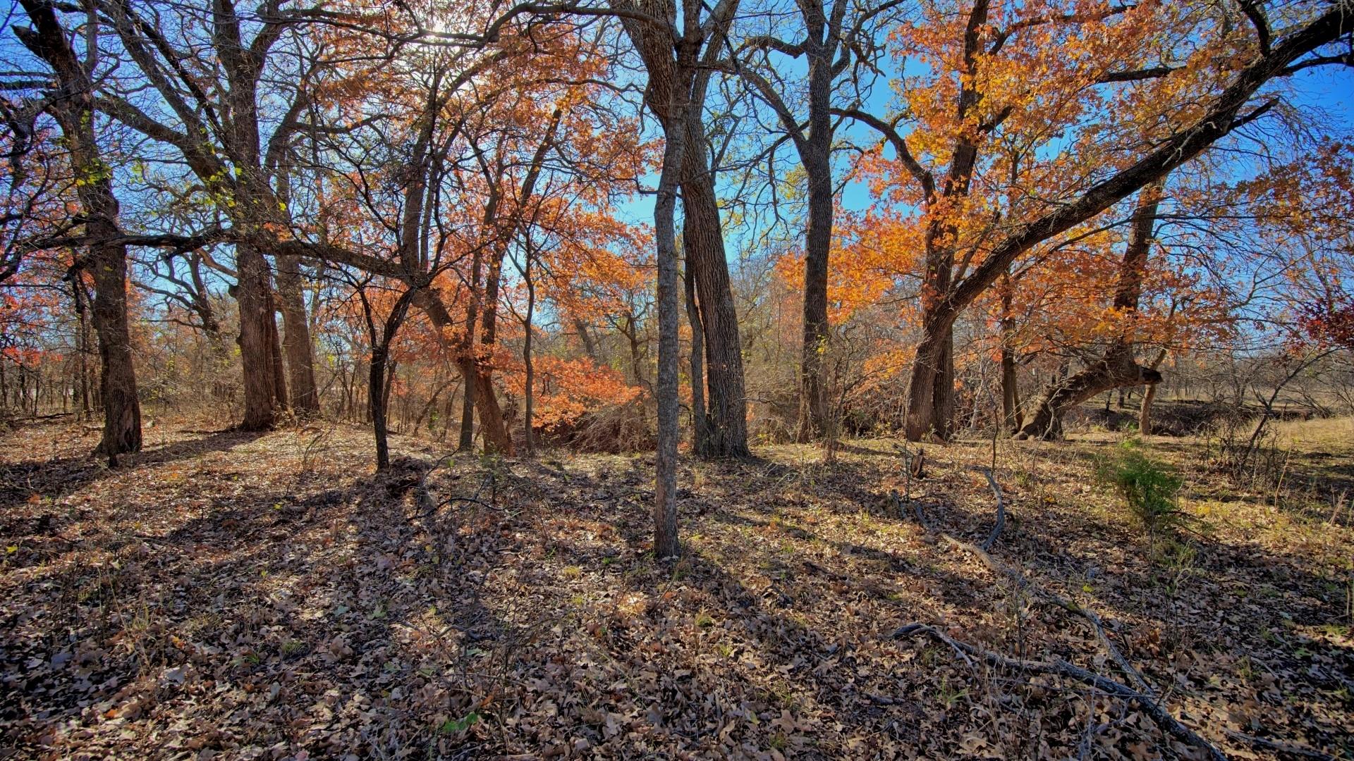 main property photo 29