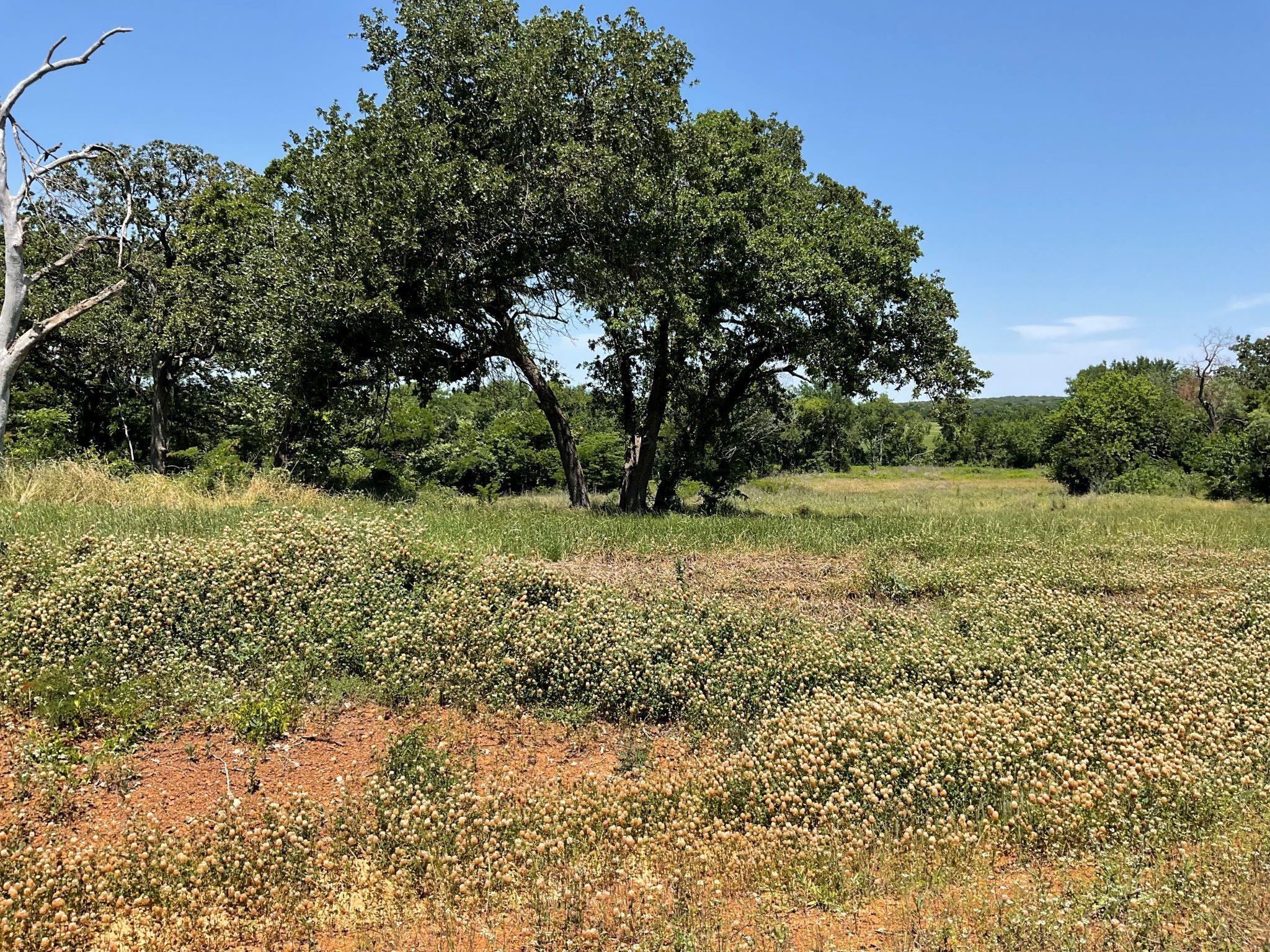 main property photo 11