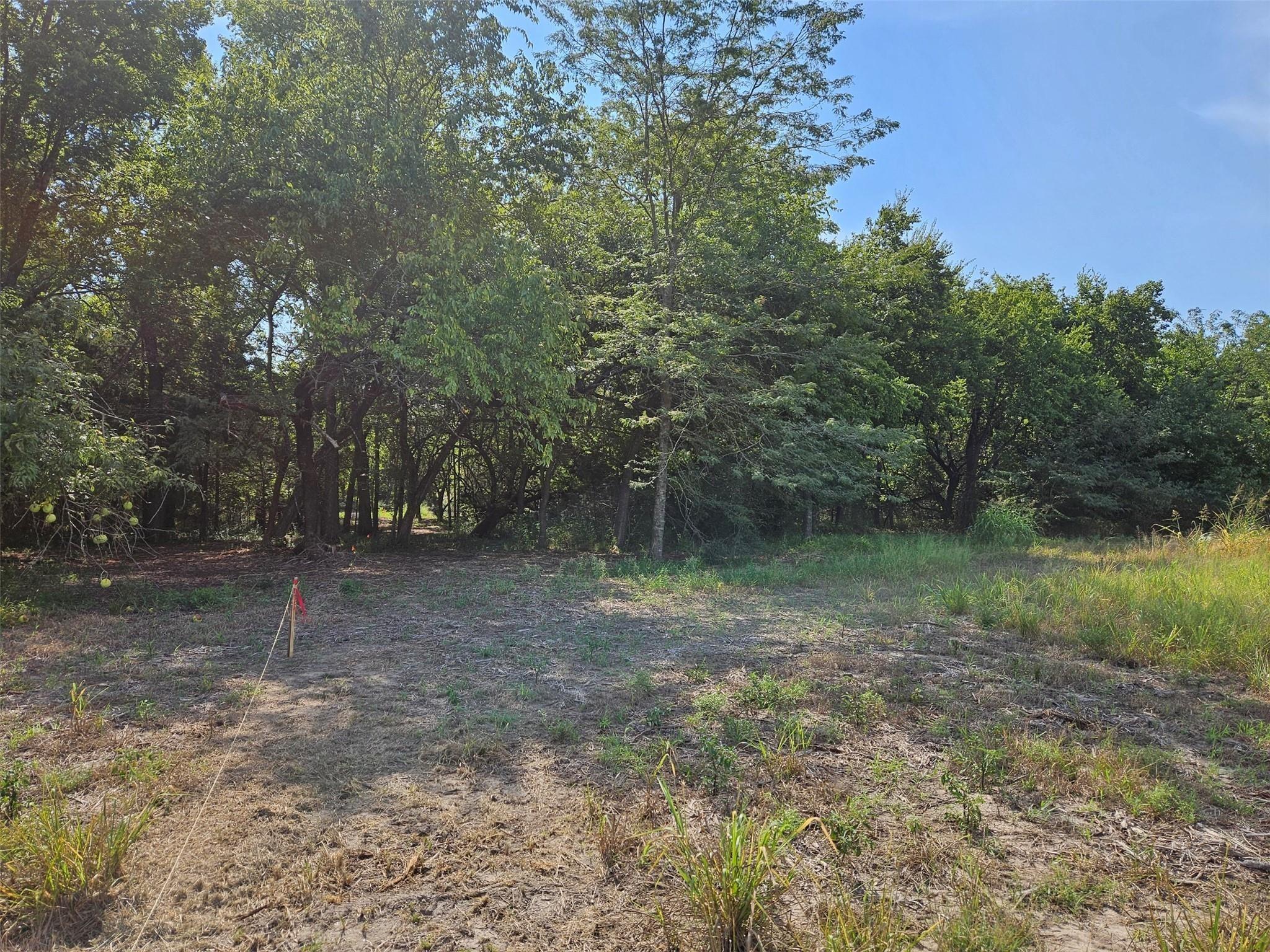 main property photo 13