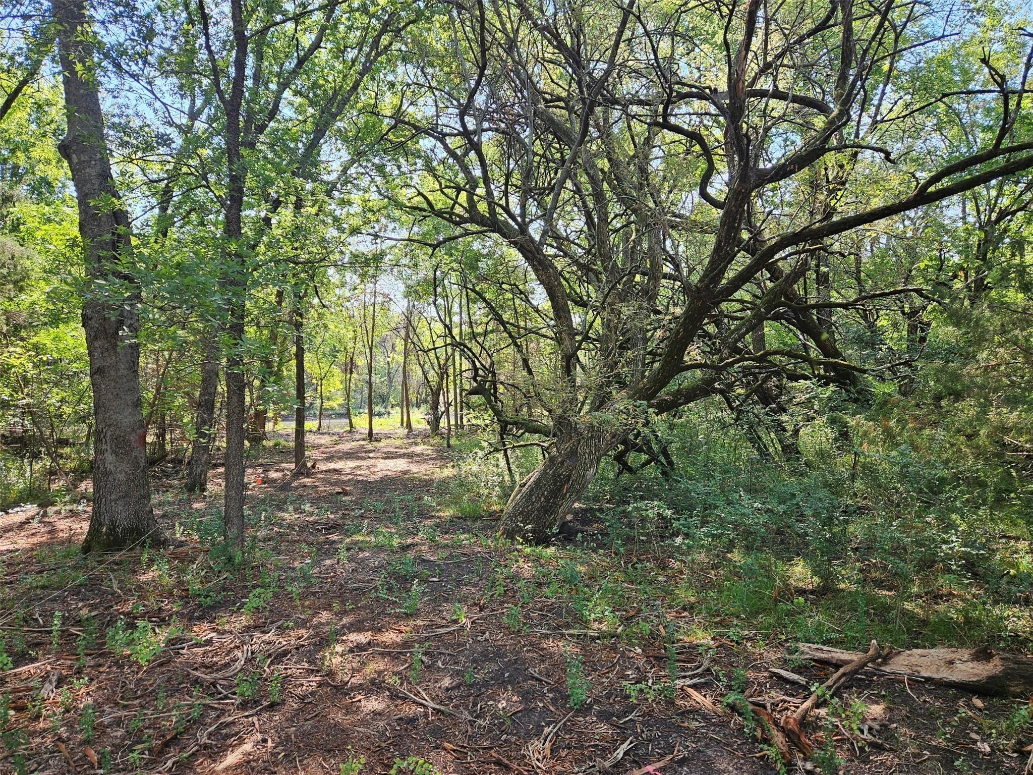 main property photo 14